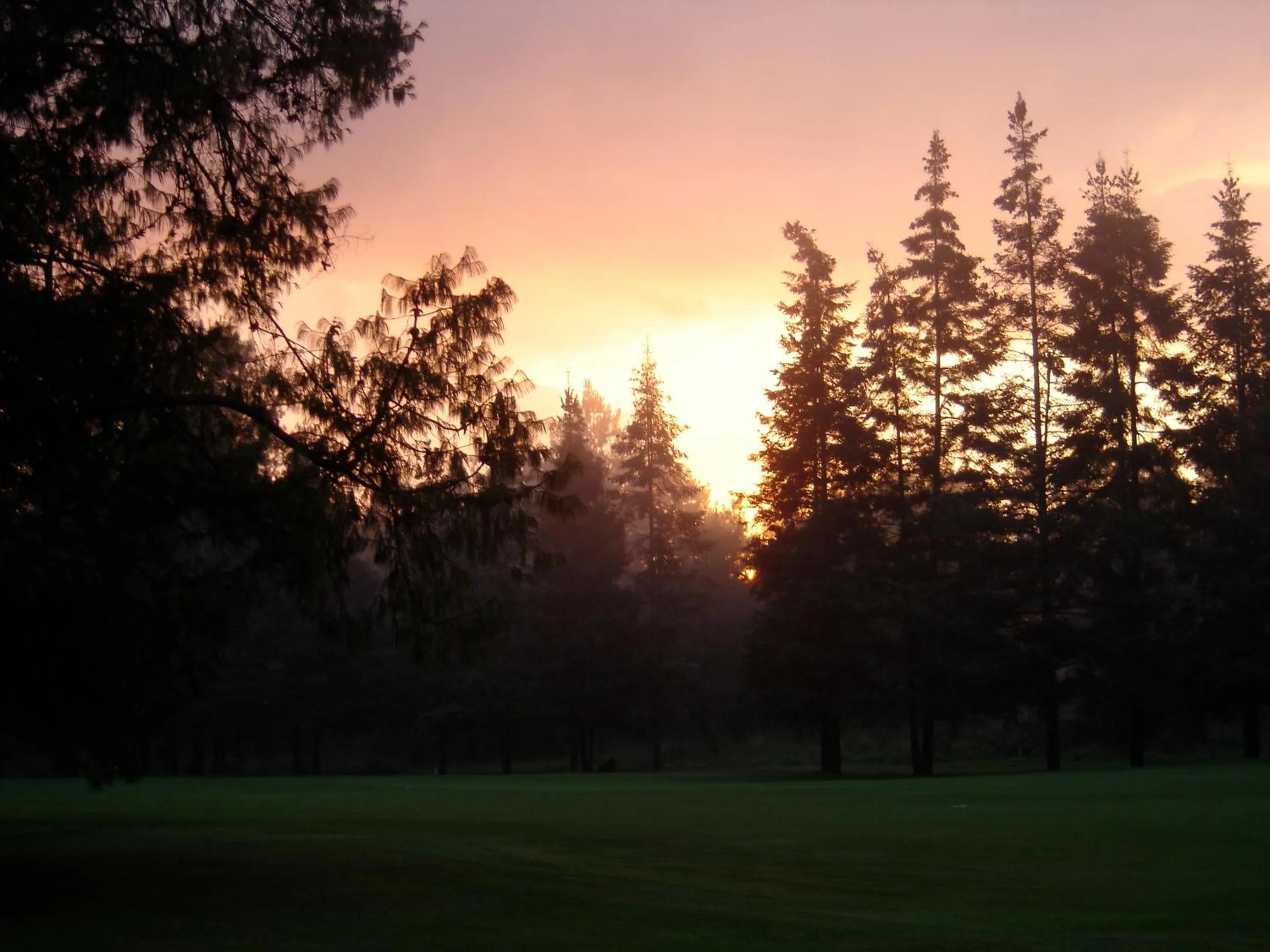 Golfcourse in Hotel Rancho Viejo