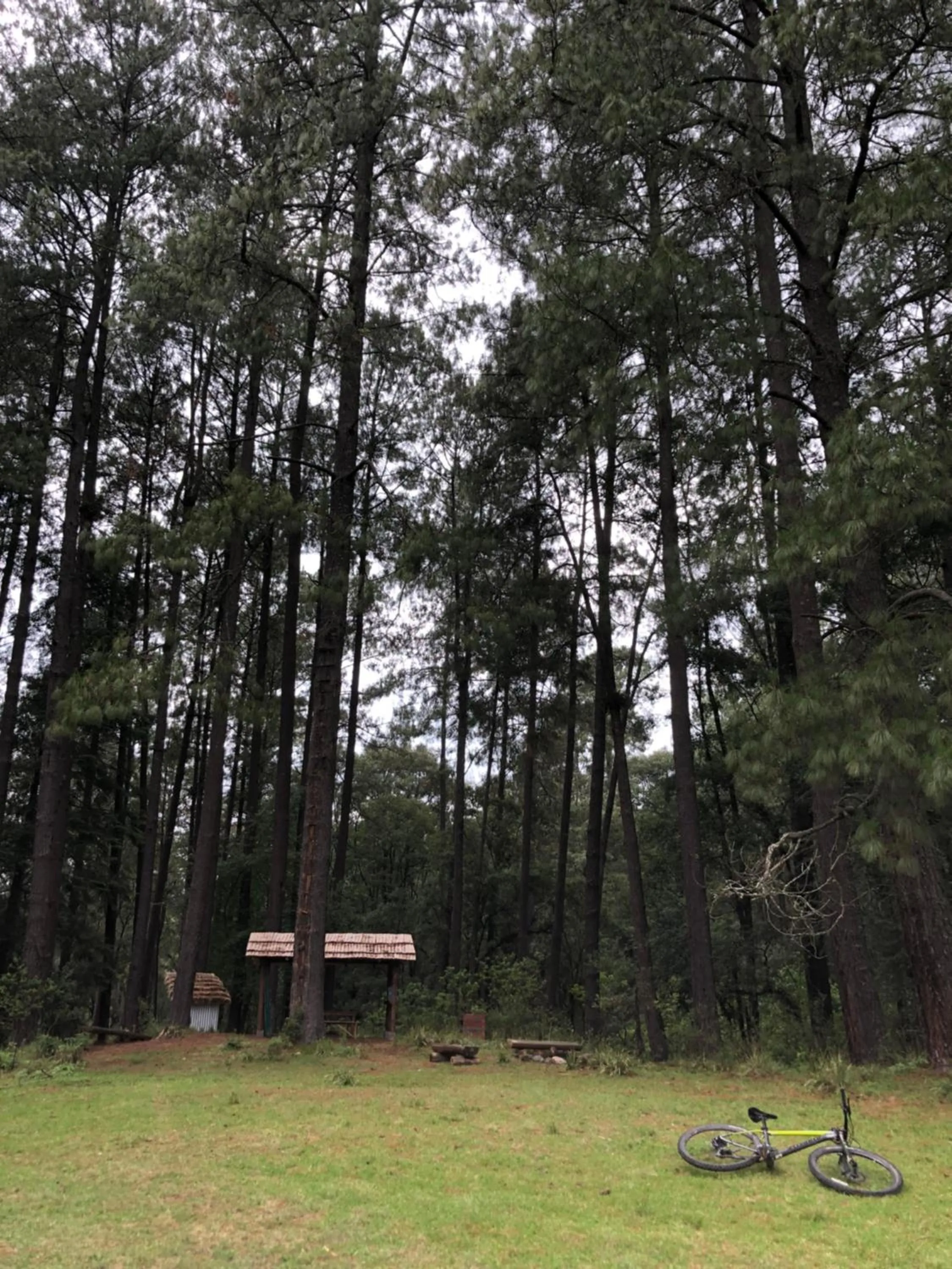 Natural landscape in Hotel Rancho Viejo
