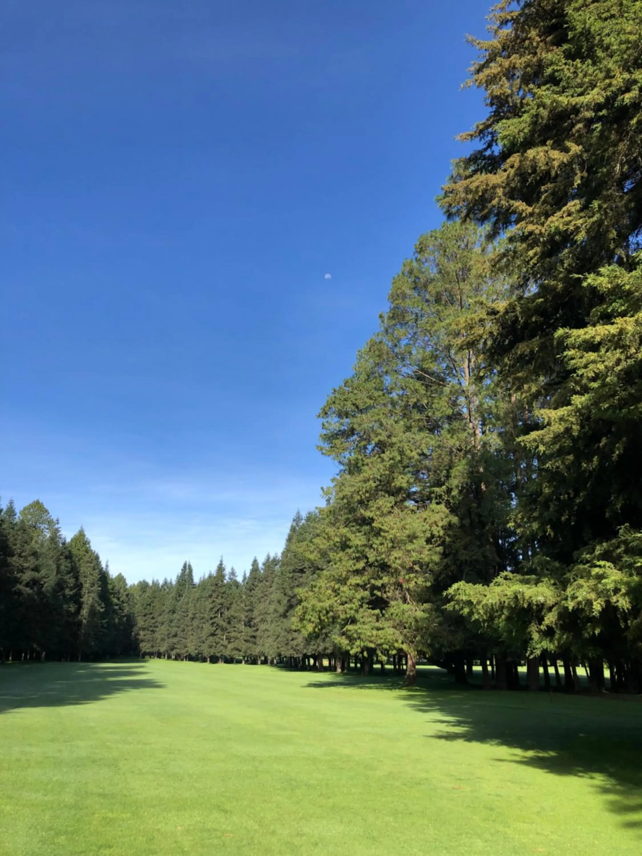 Golfcourse in Hotel Rancho Viejo