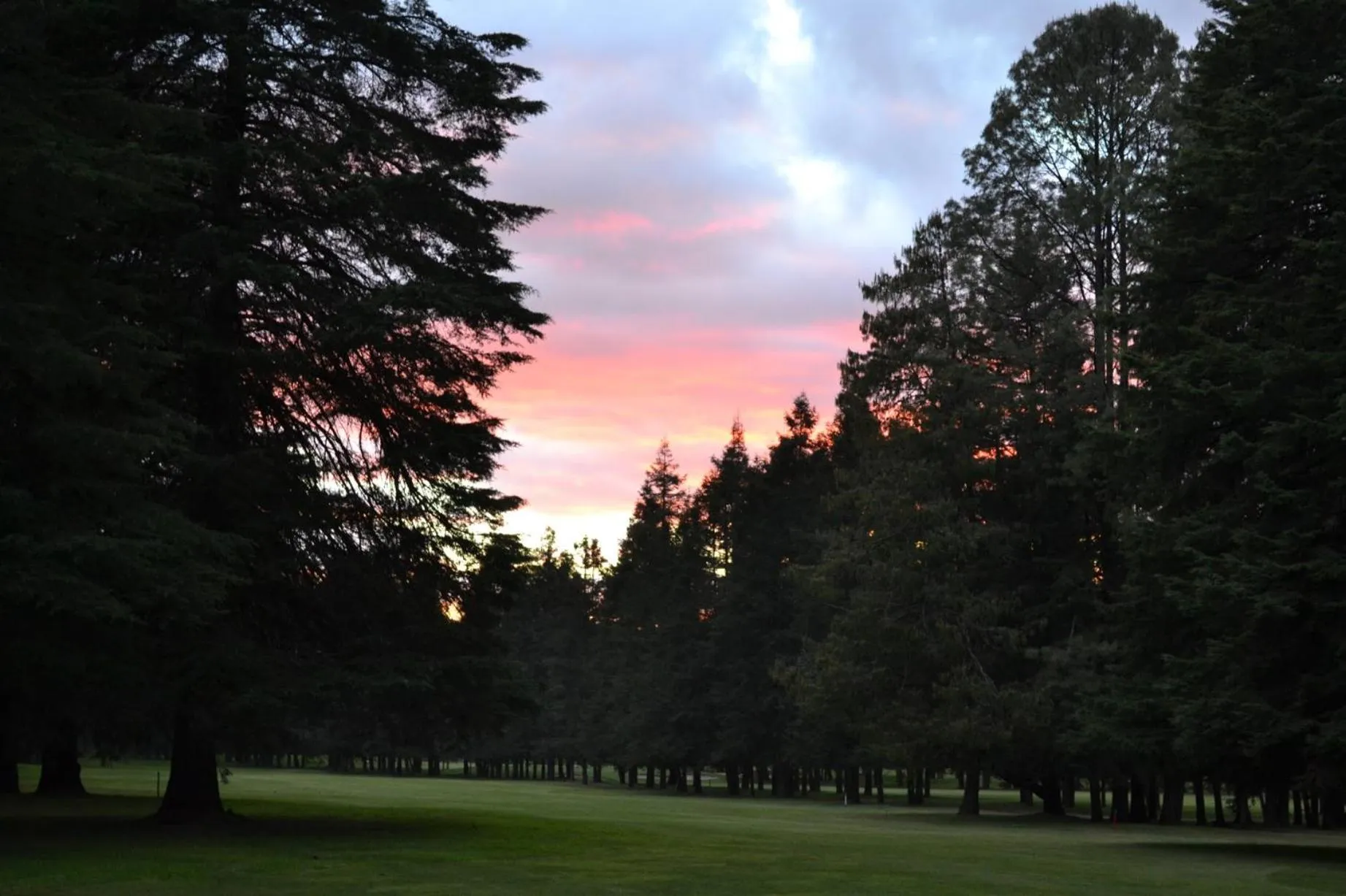 Golfcourse in Hotel Rancho Viejo