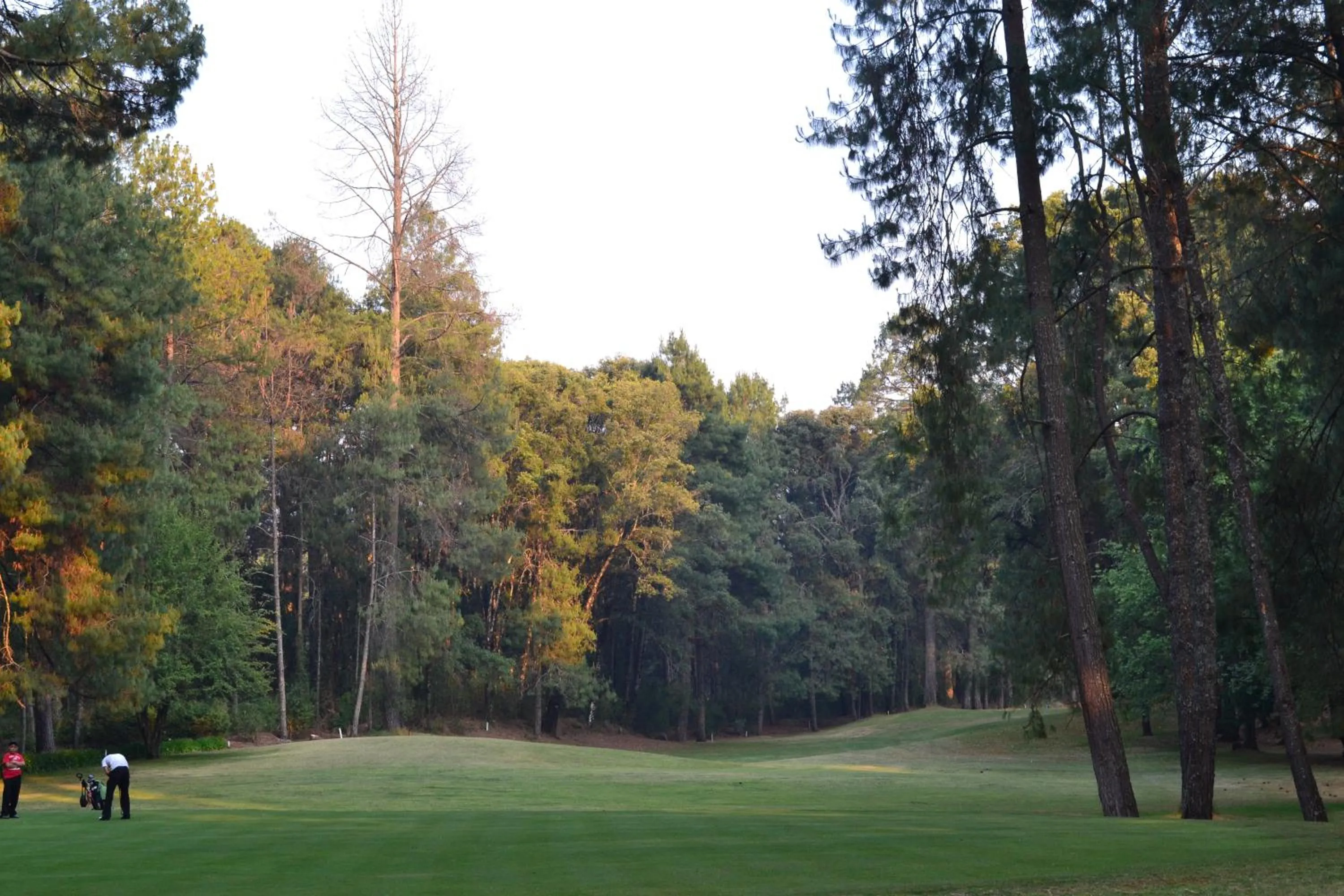 Golfcourse in Hotel Rancho Viejo