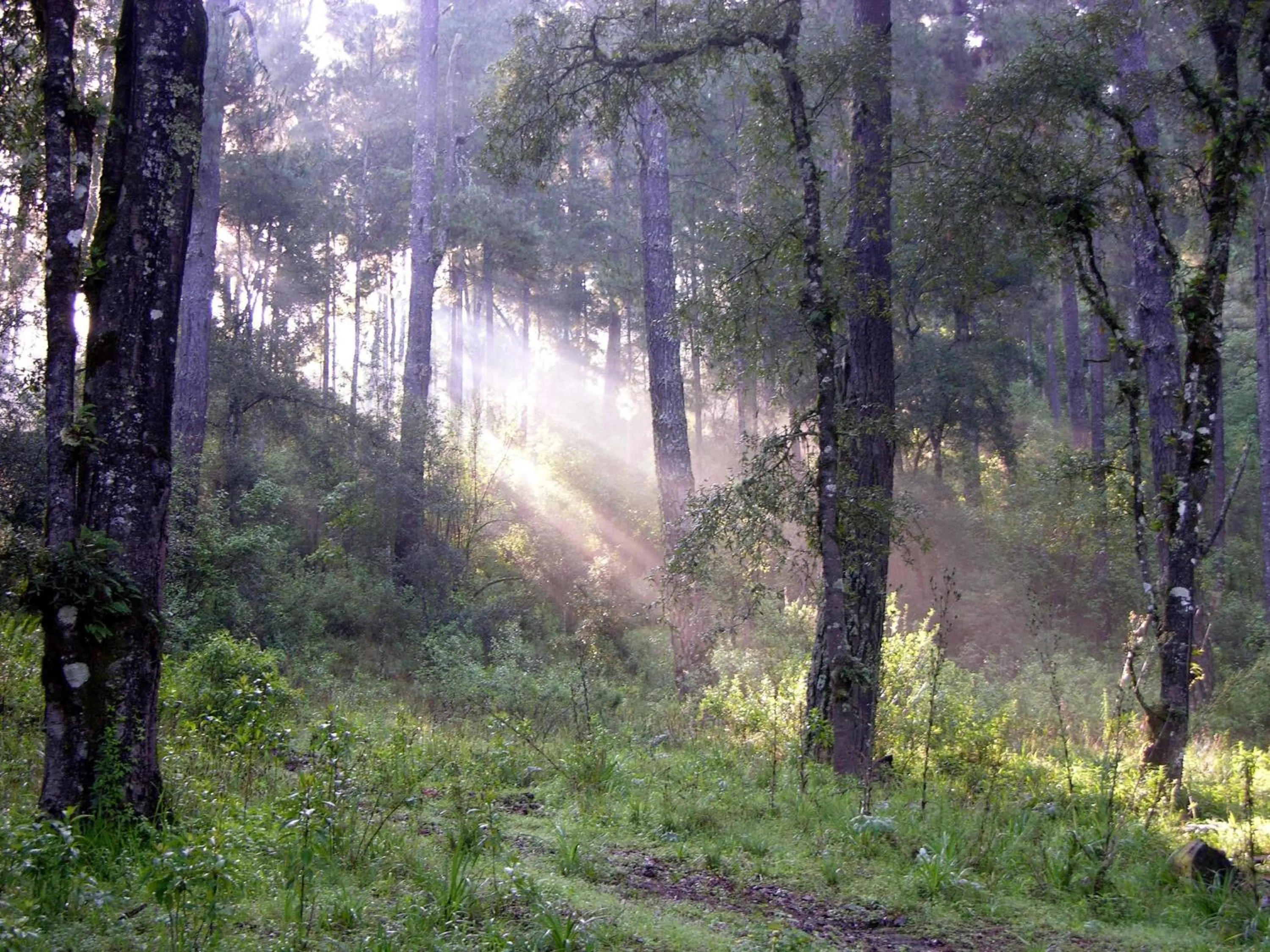 Natural landscape in Hotel Rancho Viejo