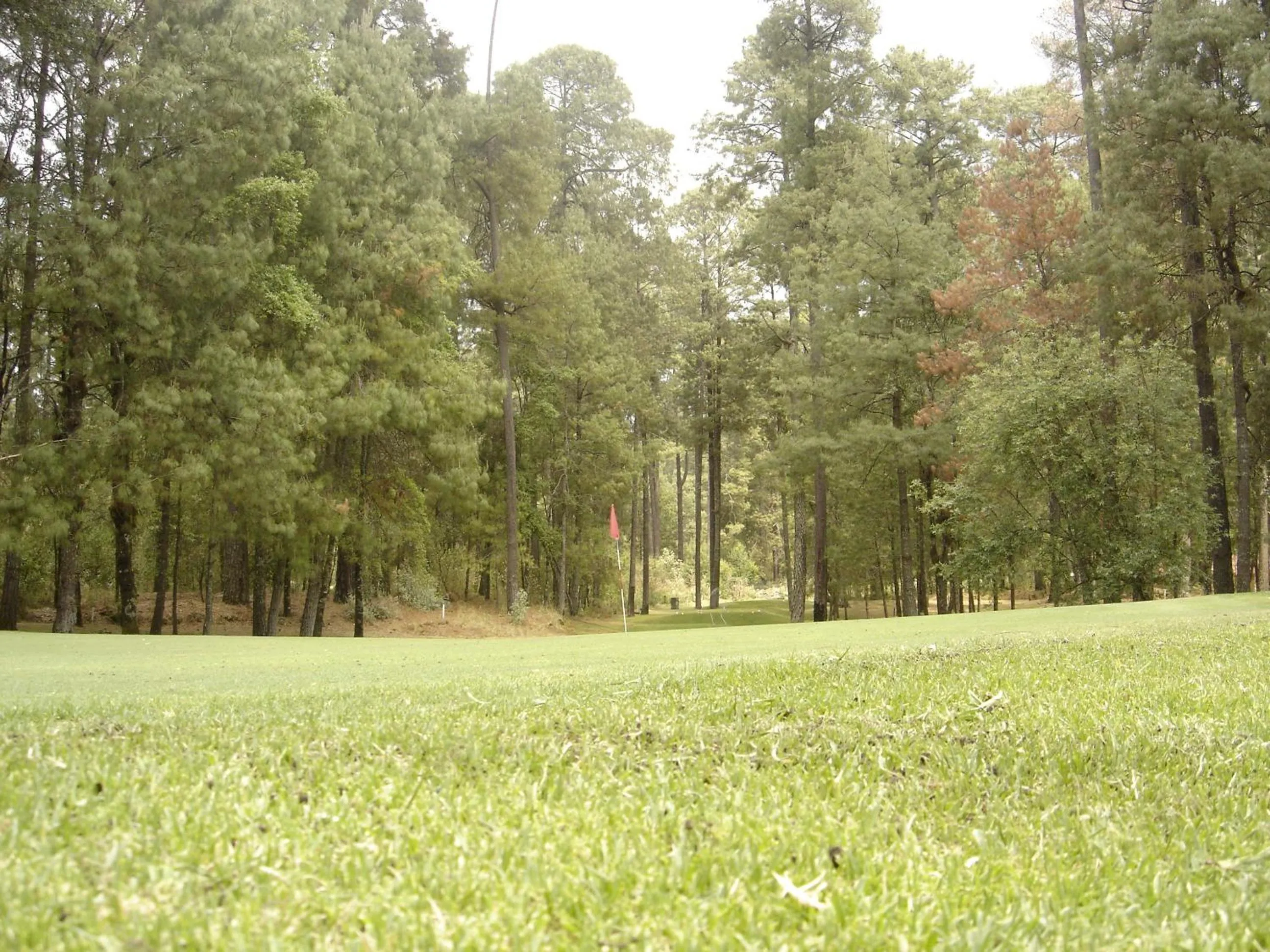 Golfcourse in Hotel Rancho Viejo