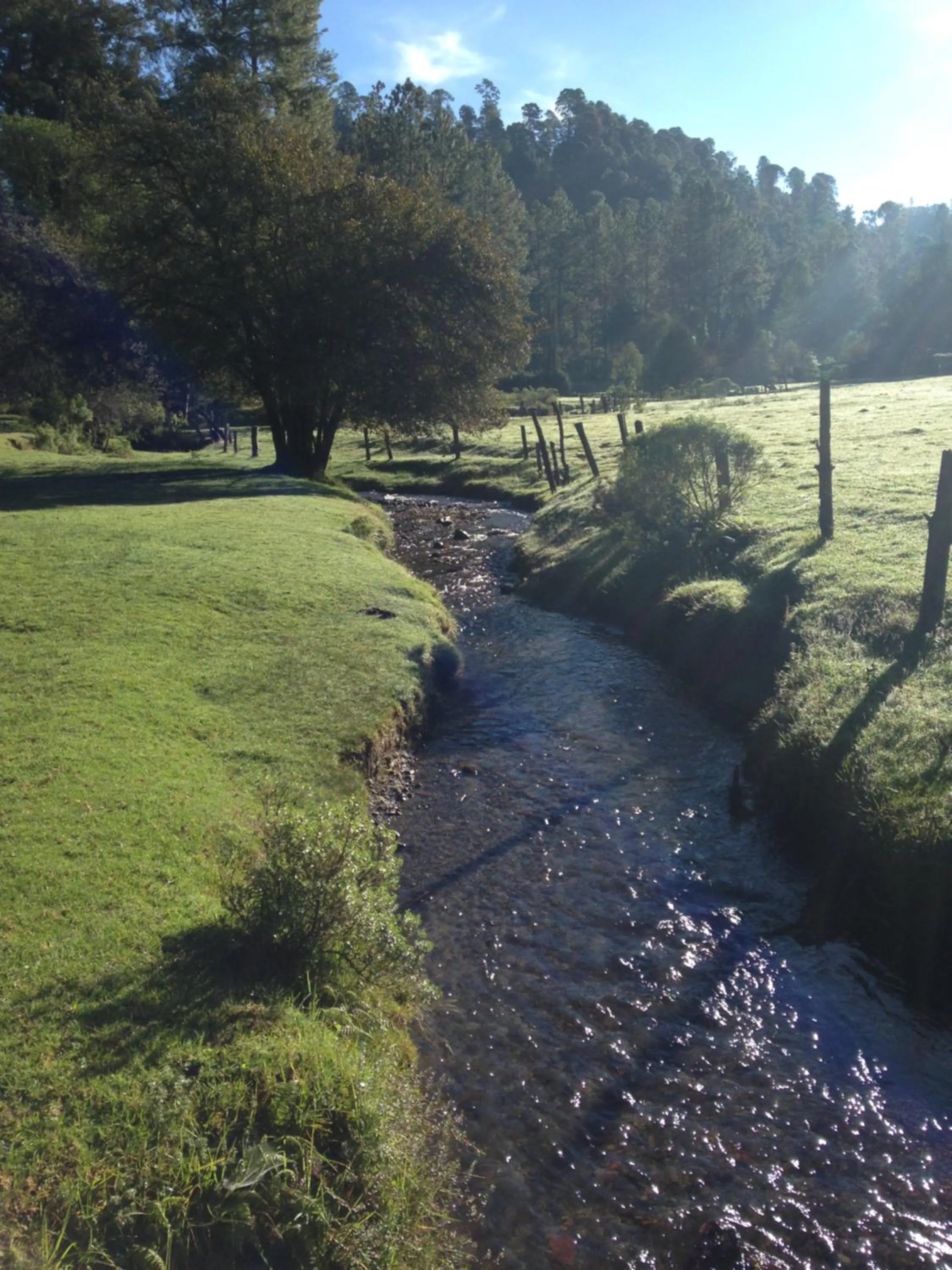 Natural landscape in Hotel Rancho Viejo
