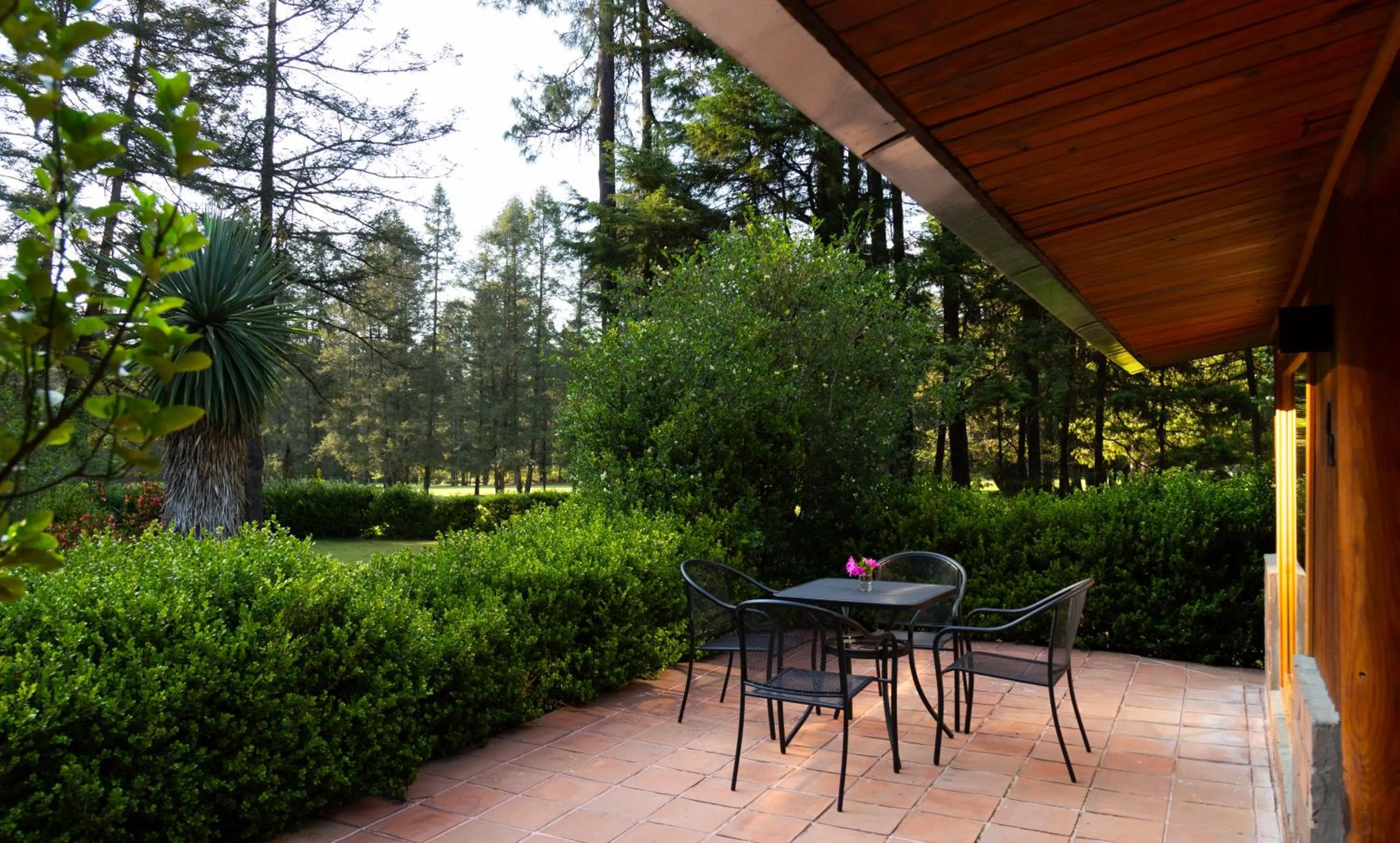 Balcony/Terrace in Hotel Rancho Viejo