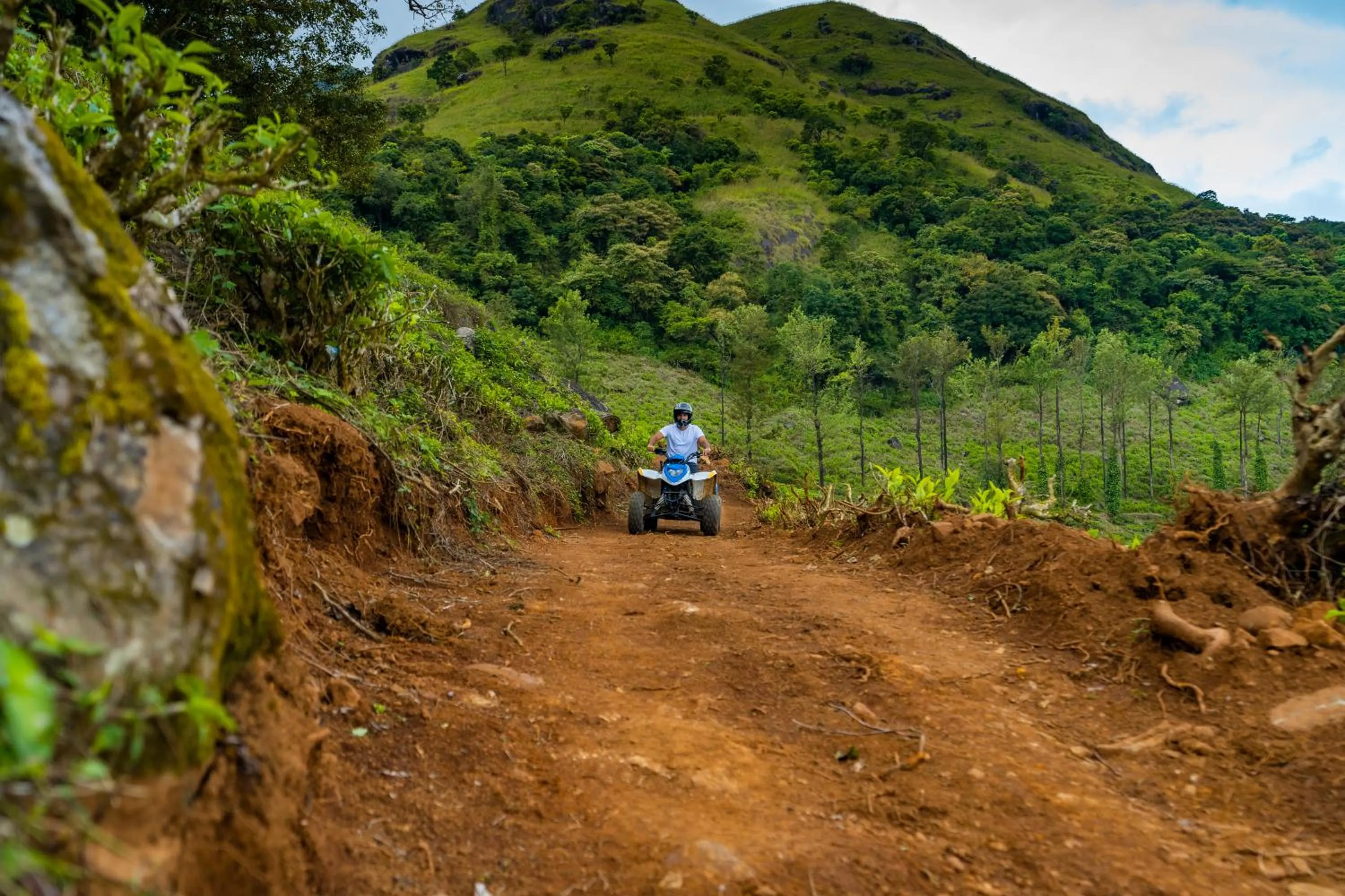 Natural landscape in Zostel Plus Wayanad
