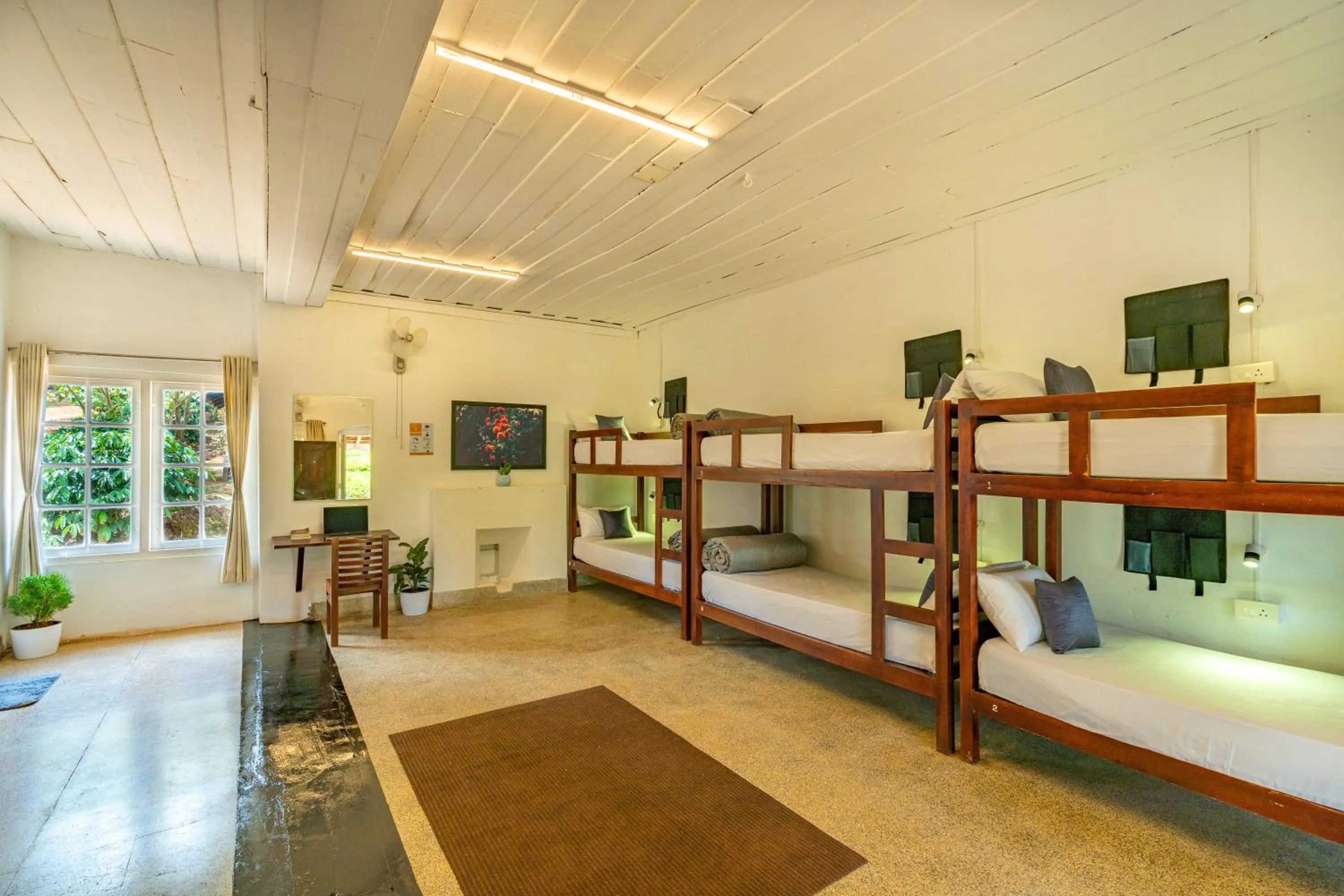 Bed in Zostel Plus Wayanad