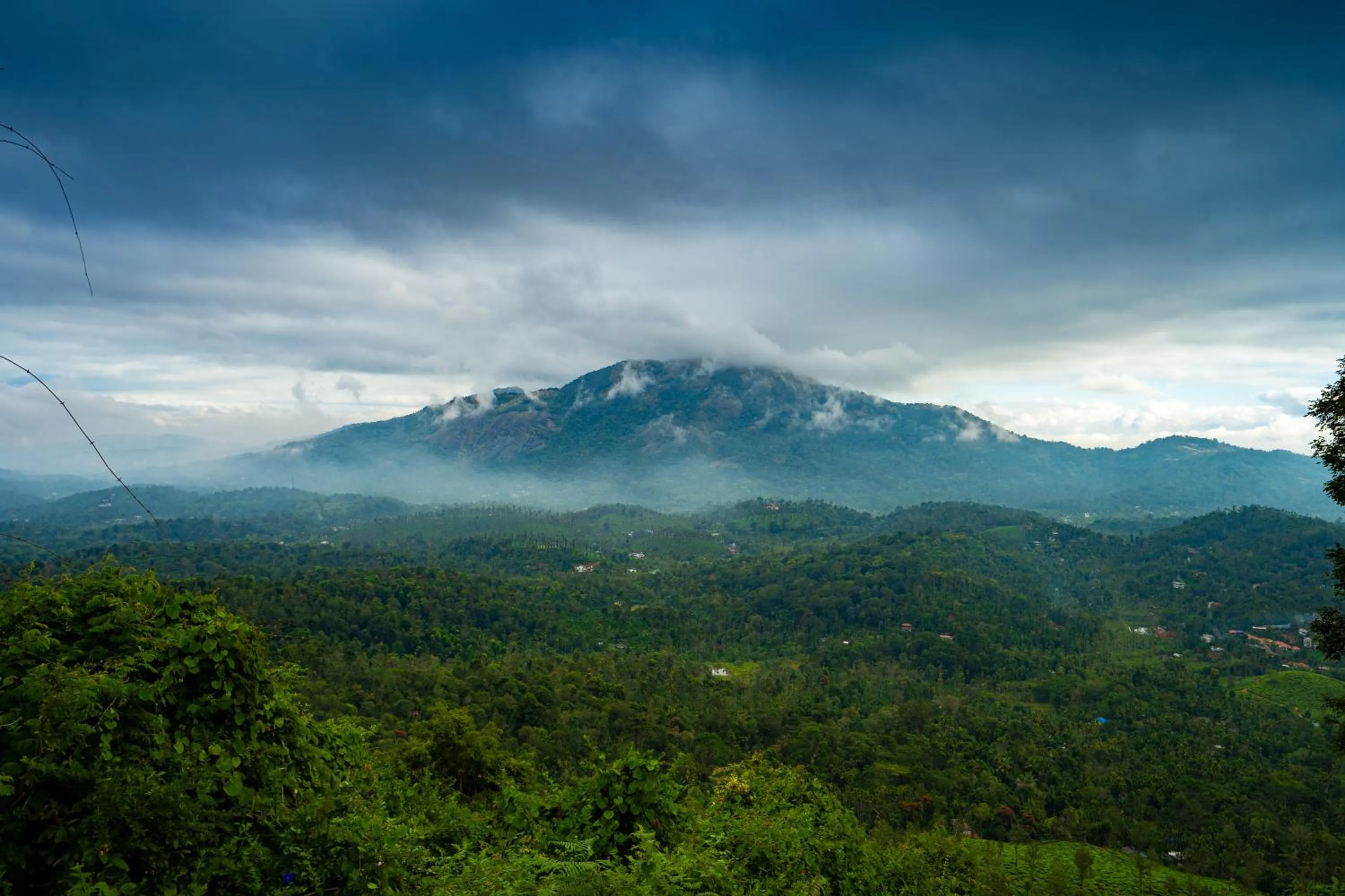 Nearby landmark in Zostel Plus Wayanad