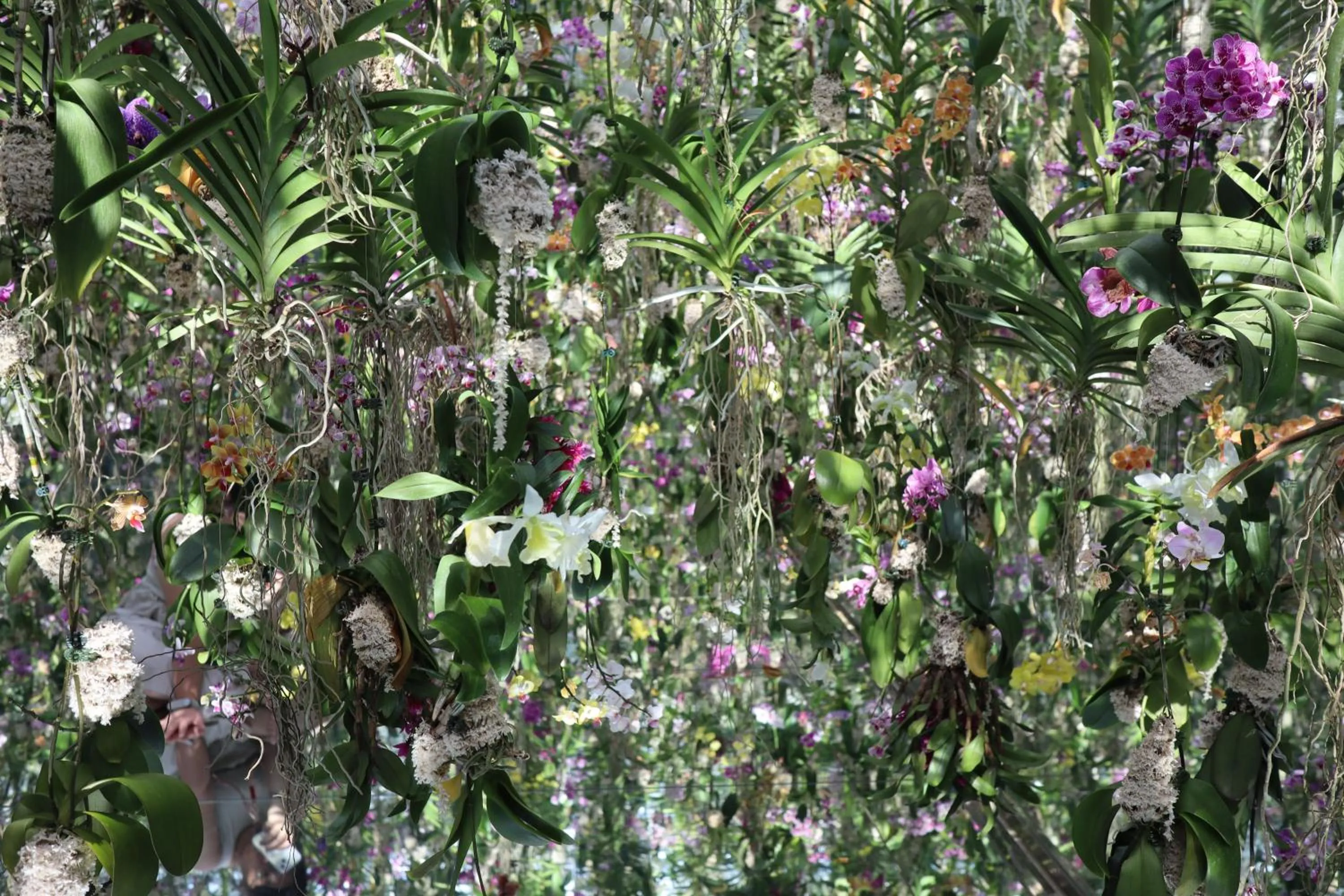 Nearby landmark in Hotel JAL City Tokyo Toyosu