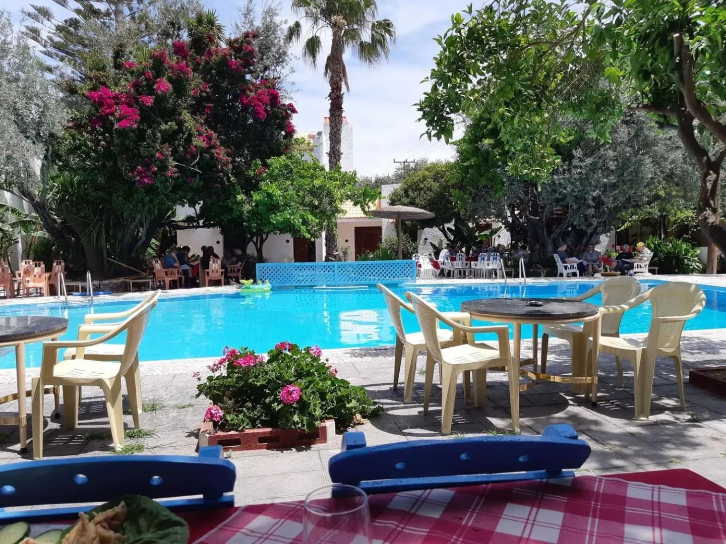 Pool view in Oasis Hotel Bungalows Rhodes- All Inclusive