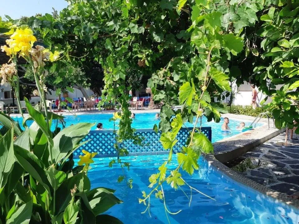 Swimming pool in Oasis Hotel Bungalows Rhodes- All Inclusive