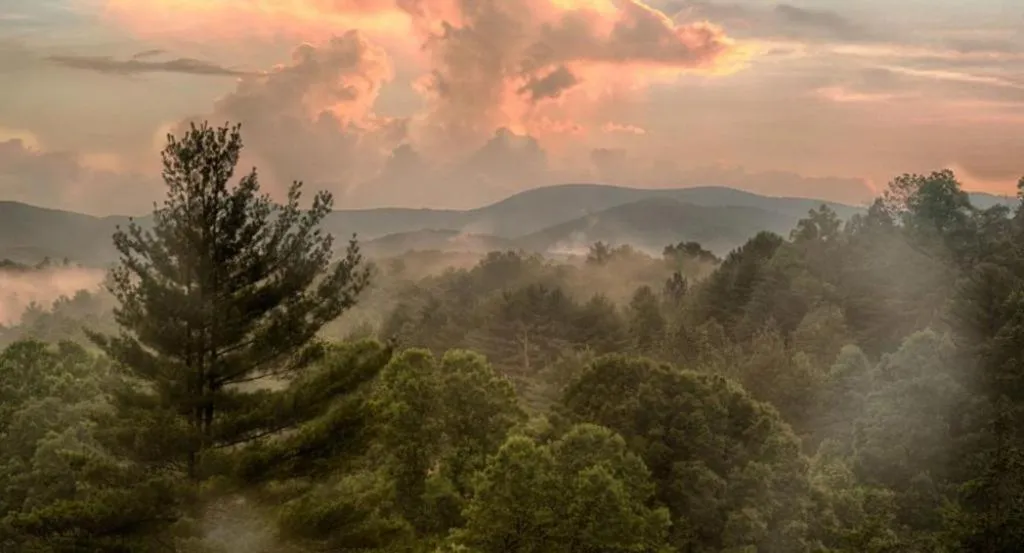 View (from property/room) in Long Mountain Lodge Bed & Breakfast