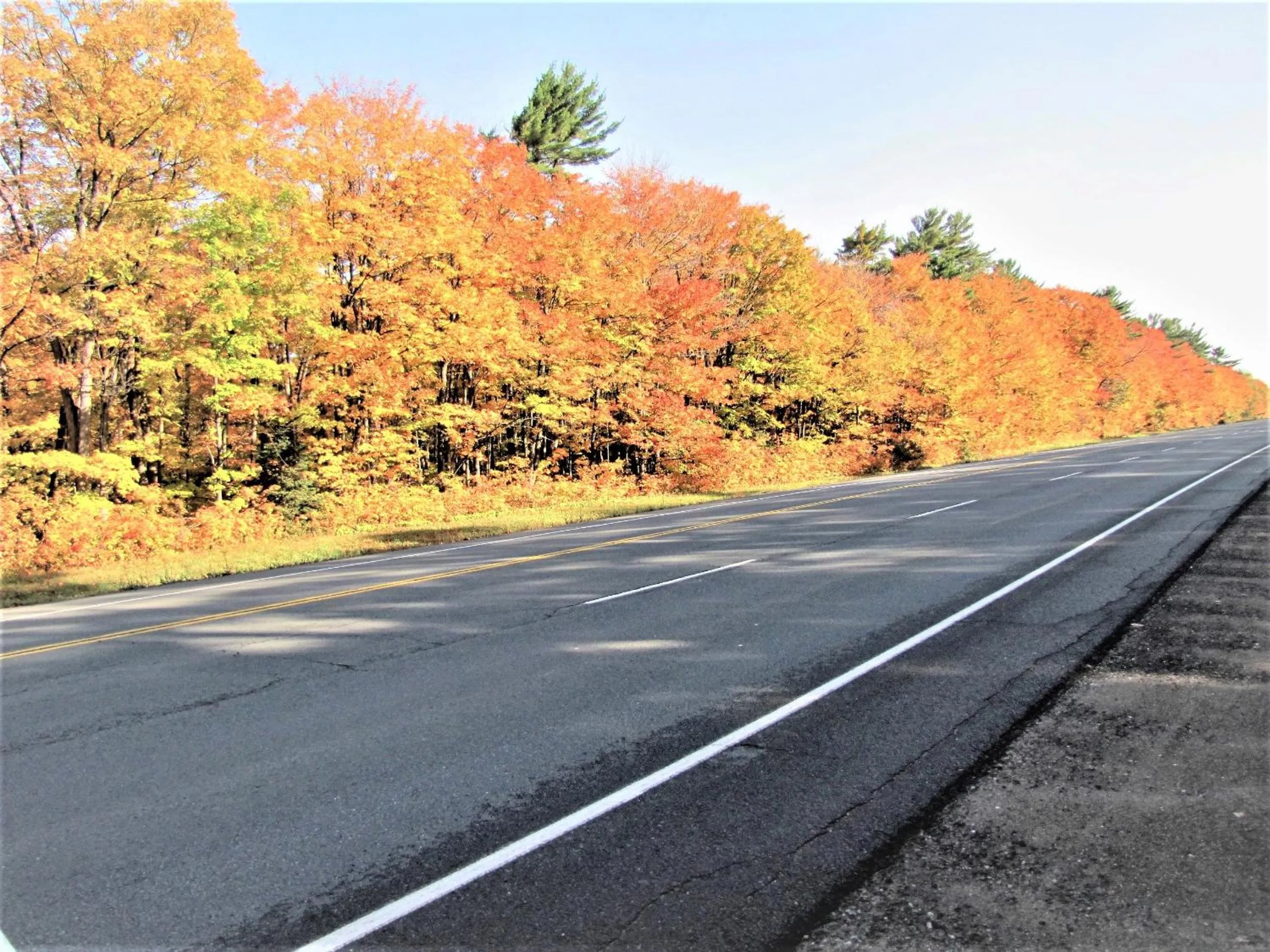 Neighbourhood in Glenview Cottages