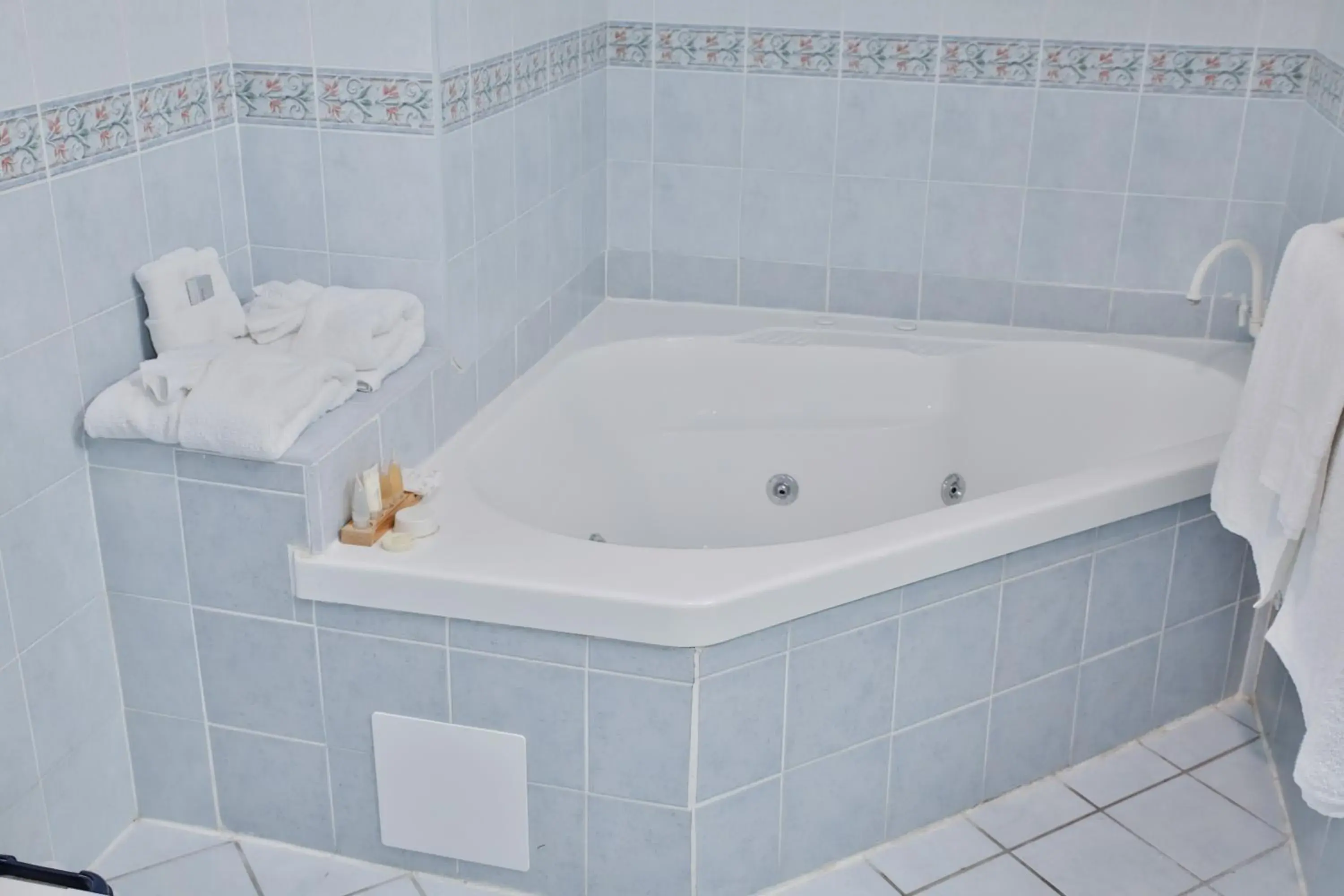 Queen Room with Spa Bath in Central Park Motel Queen Room with Spa Bath in Central Park Motel