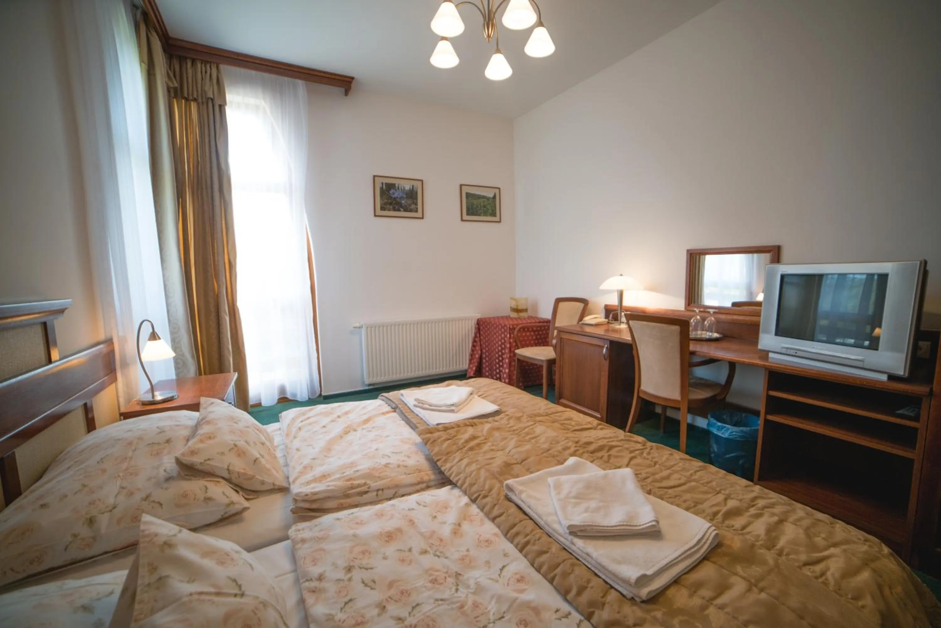 Twin Room in Hotel Kardosfa