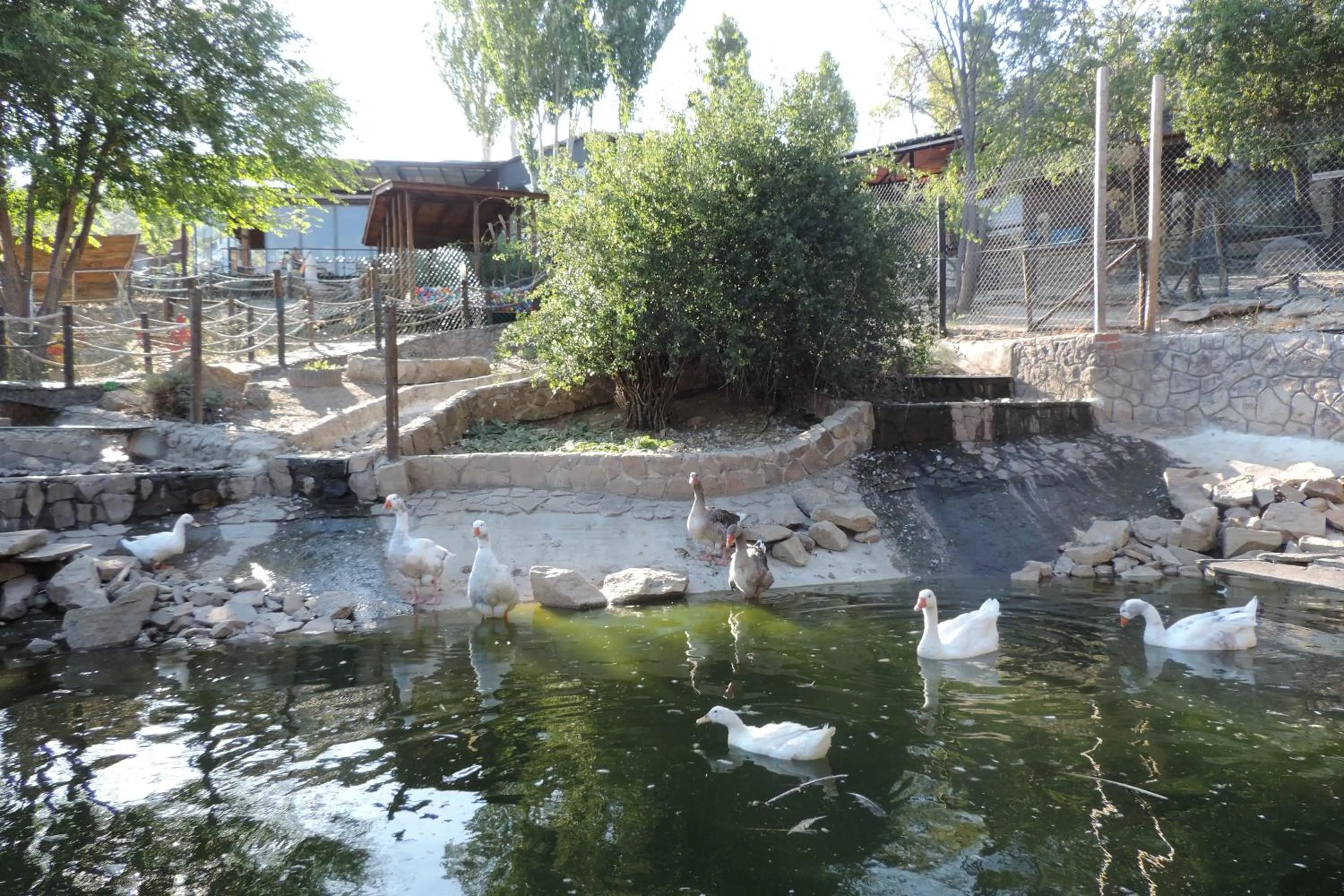 Garden in Posada Rural SPA Granja LA TEJERA de Lozoya