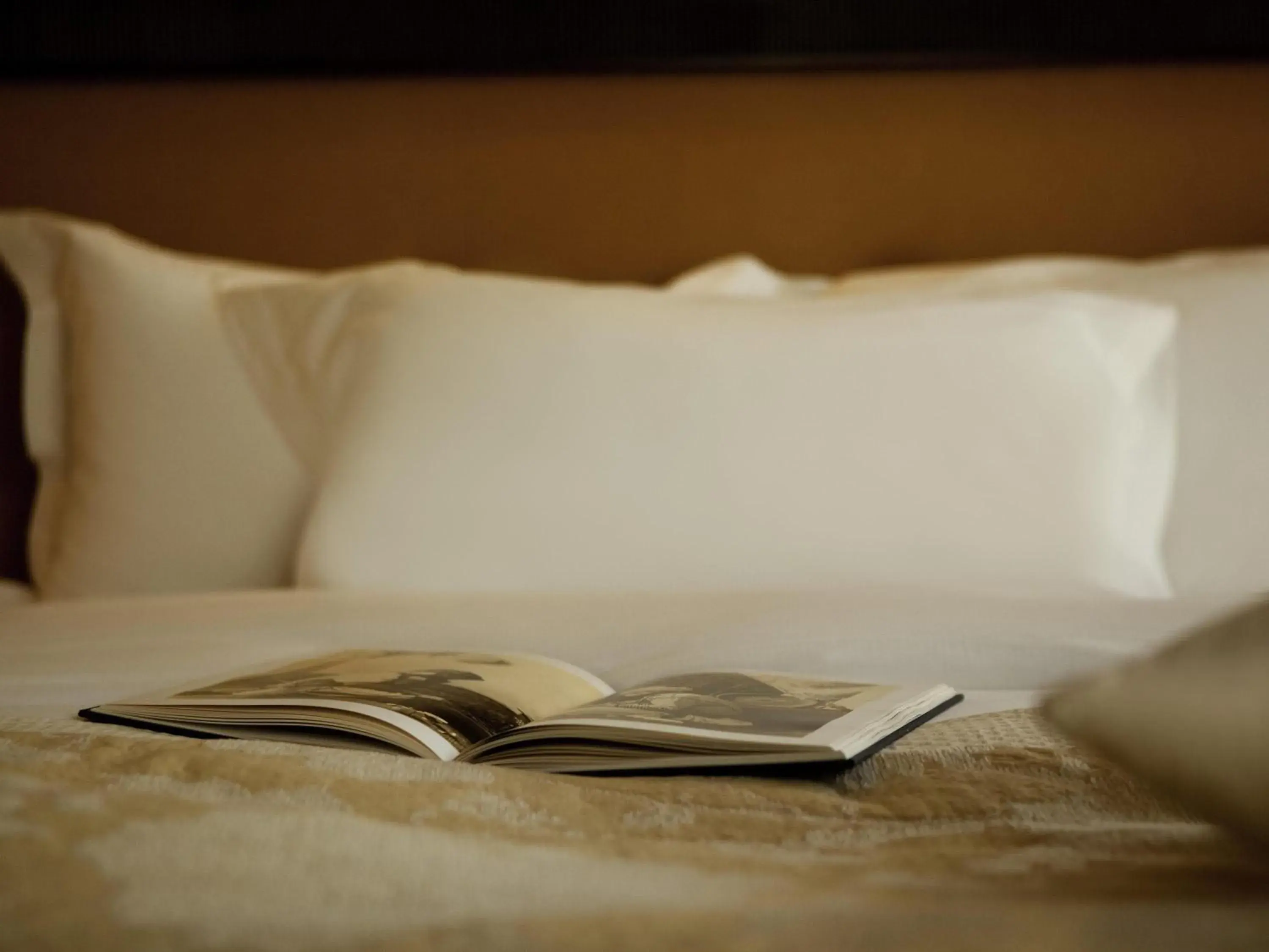 Classic Queen Room with Courtyard View in Royal Hotel Oran - MGallery Collection Classic Queen Room with Courtyard View in Royal Hotel Oran - MGallery Collection