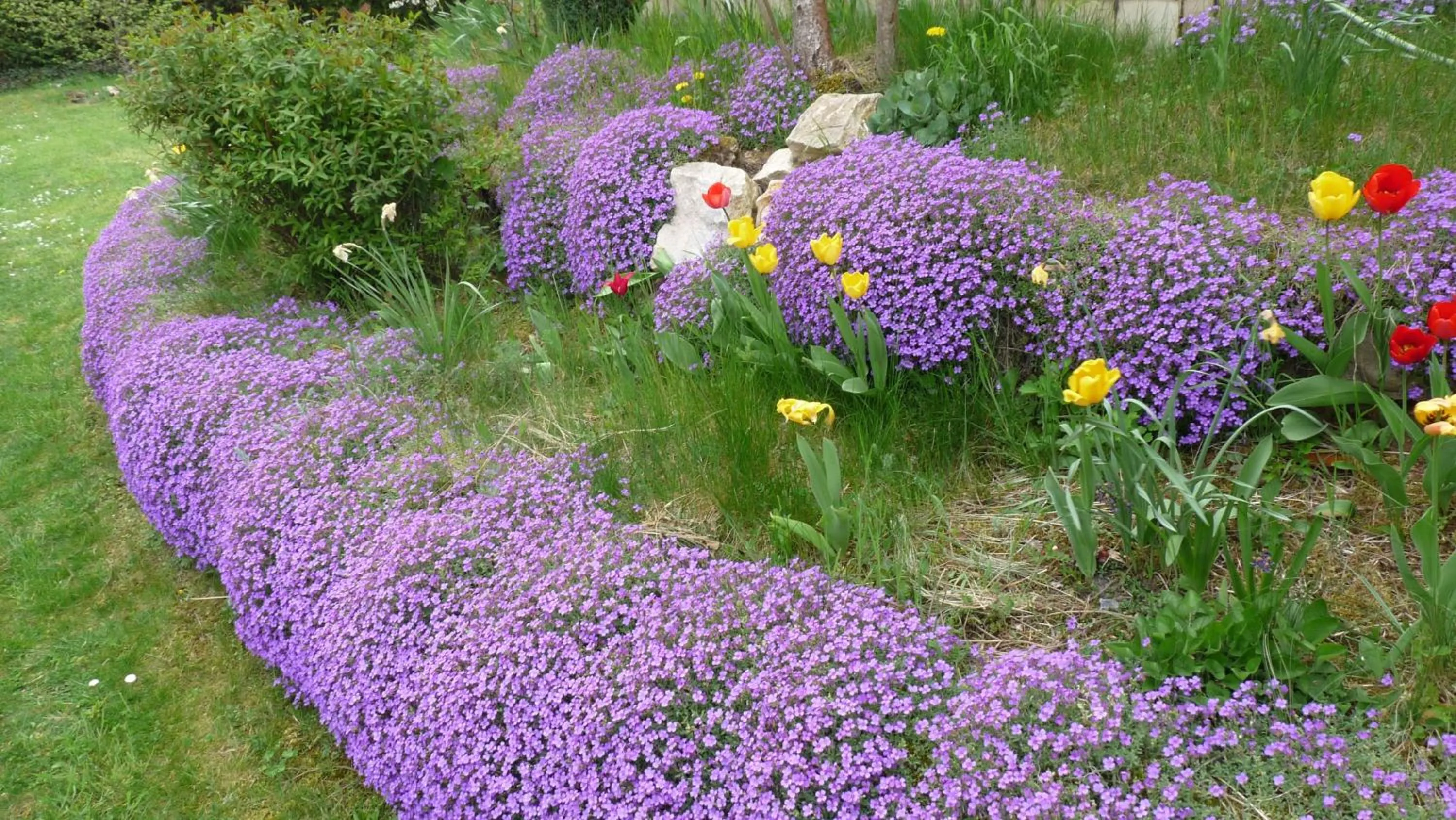 Garden view in Les Aubretias
