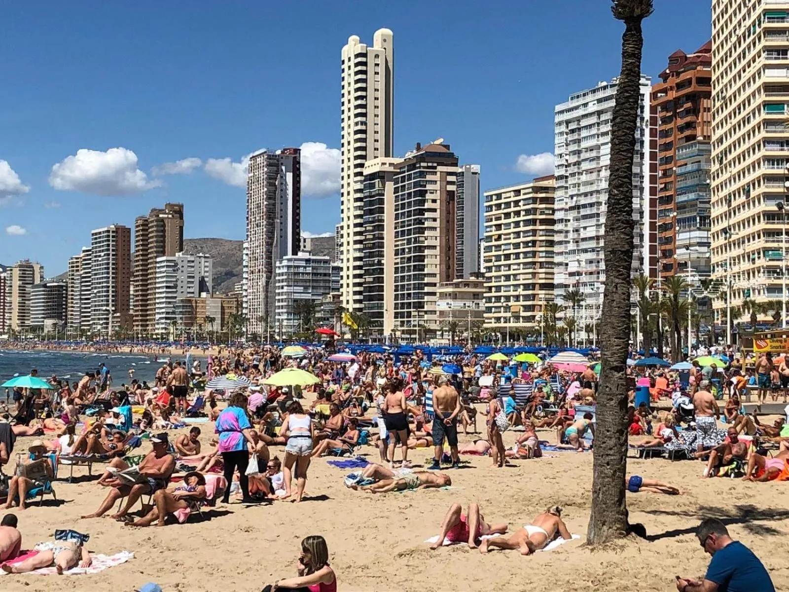 Don Miguel II Apartments