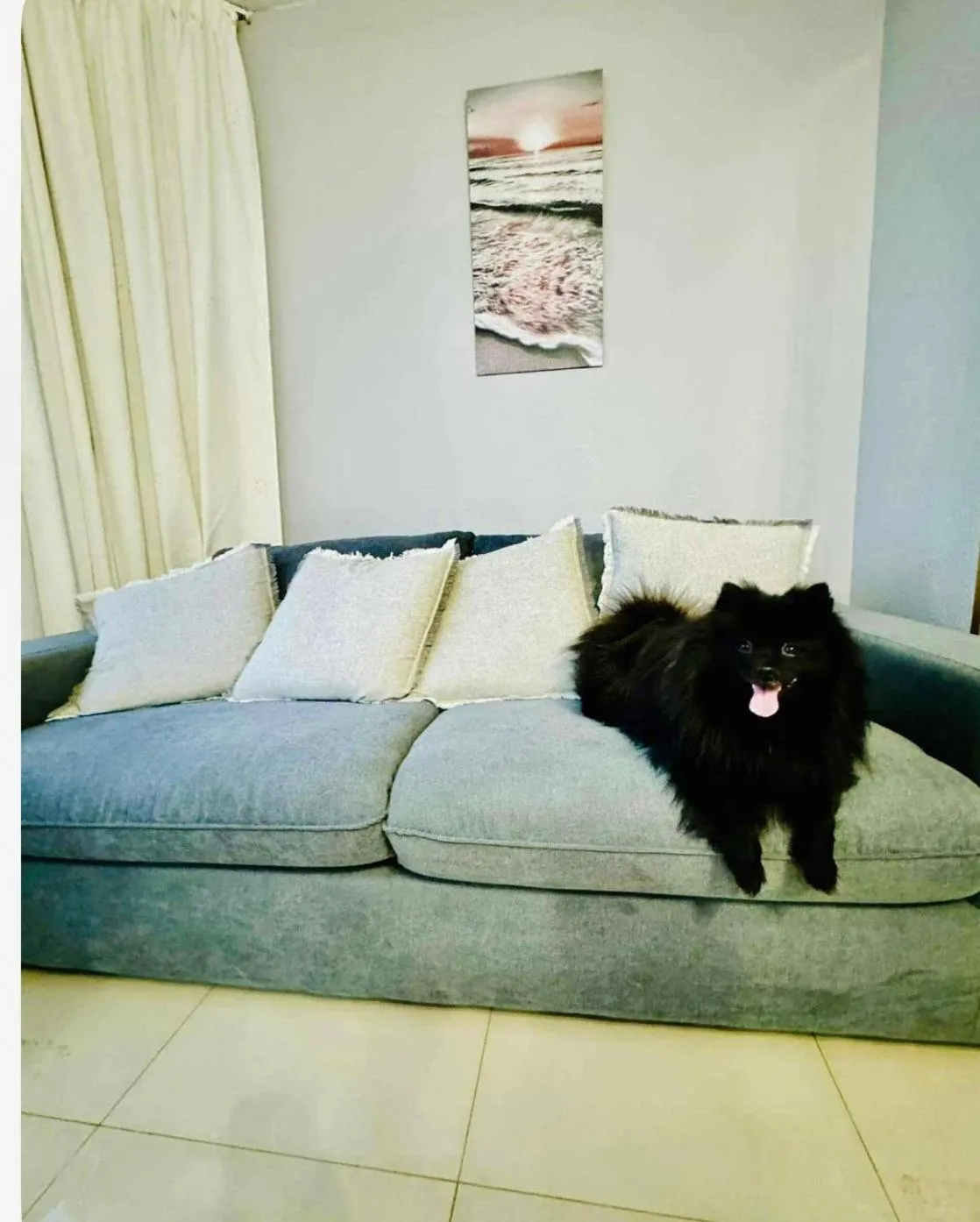 Don Miguel II Apartments