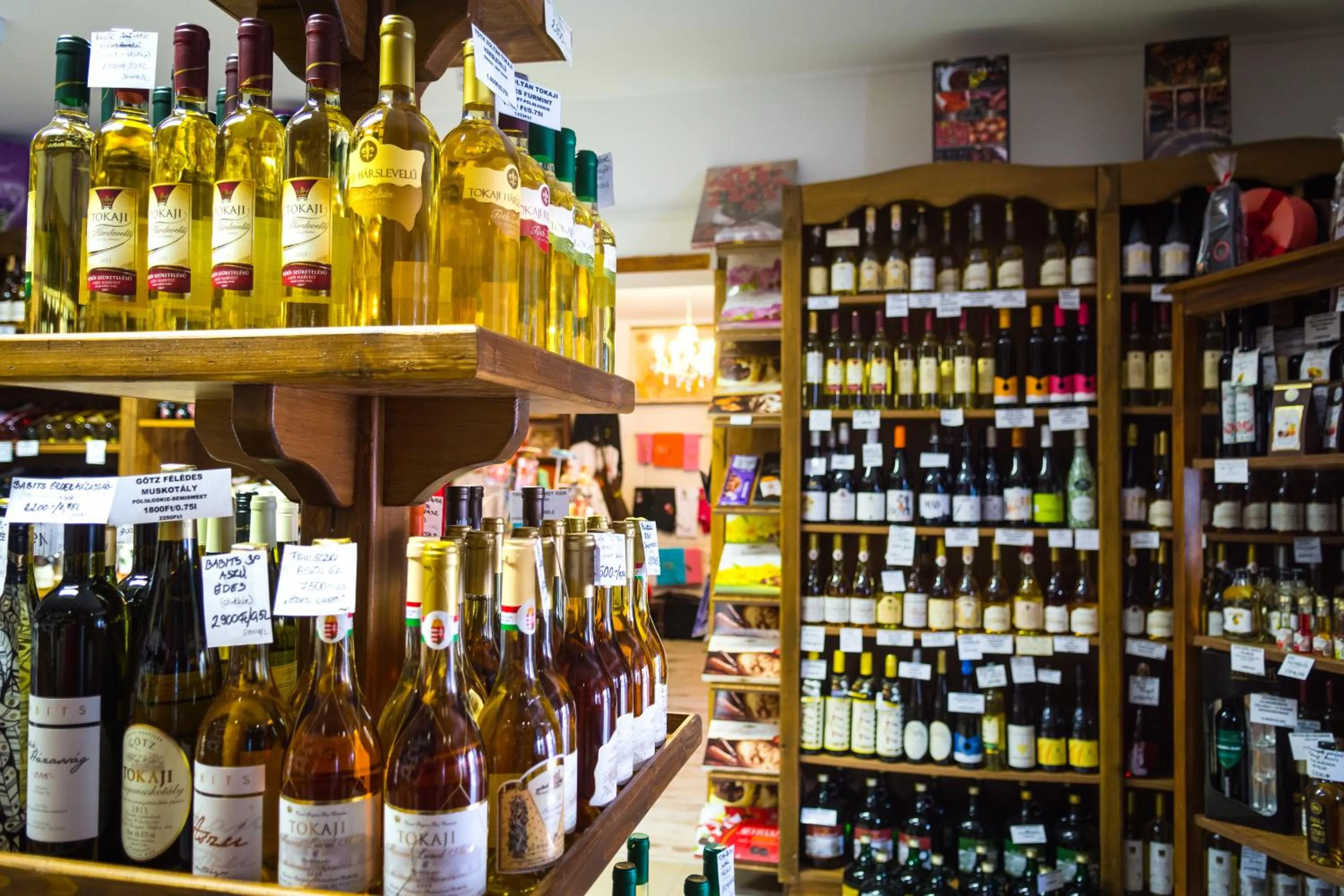 On-site shops in Vaskó Panzió Borpince