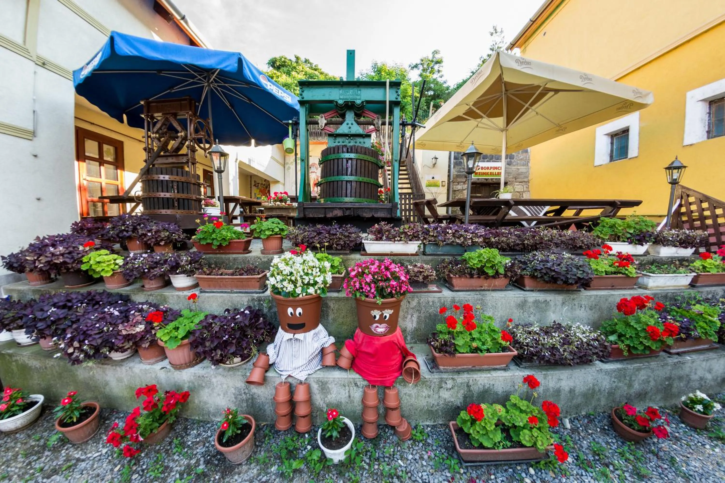 Patio in Vaskó Panzió Borpince