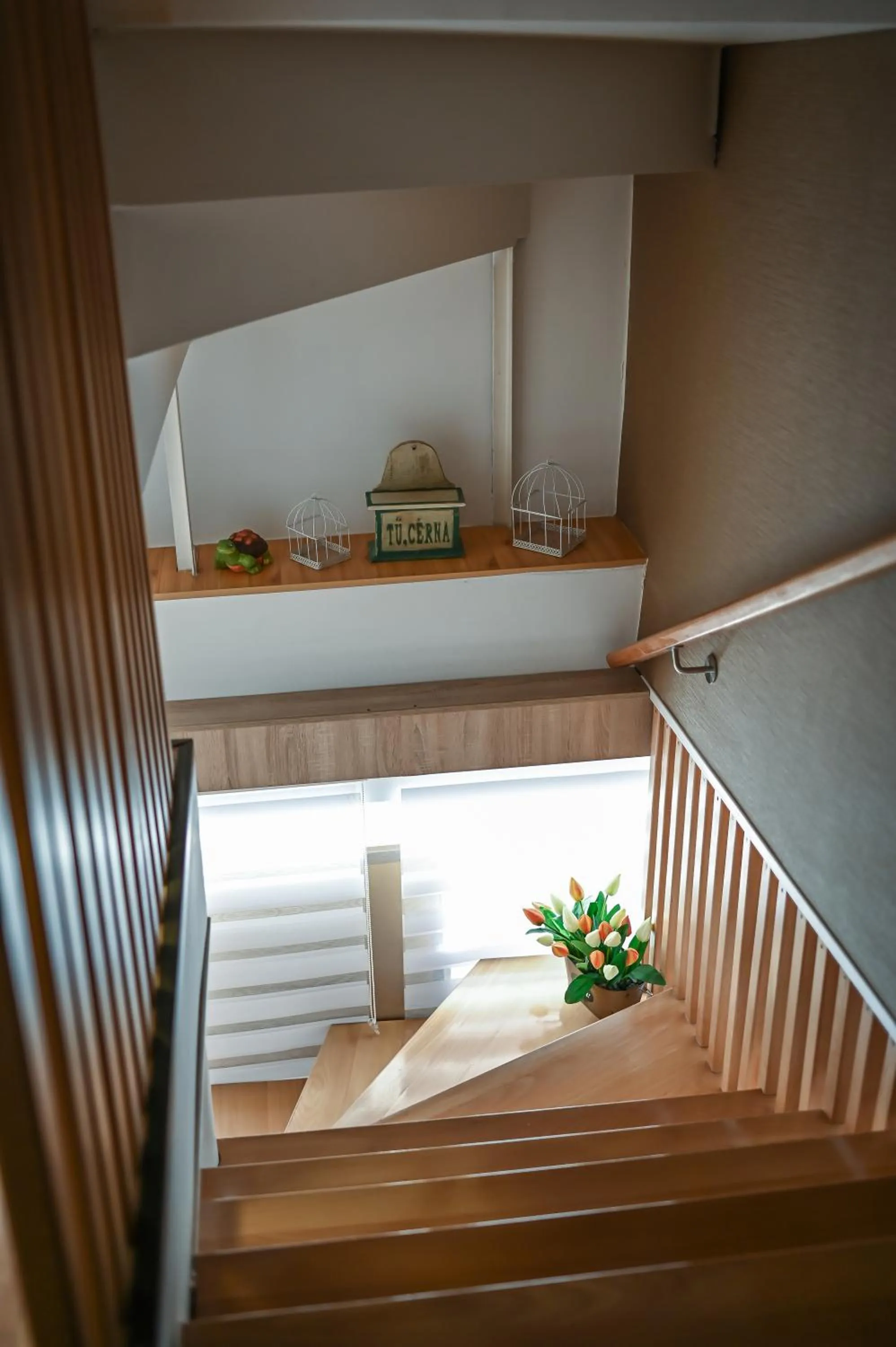 Property building in Vaskó Panzió Borpince