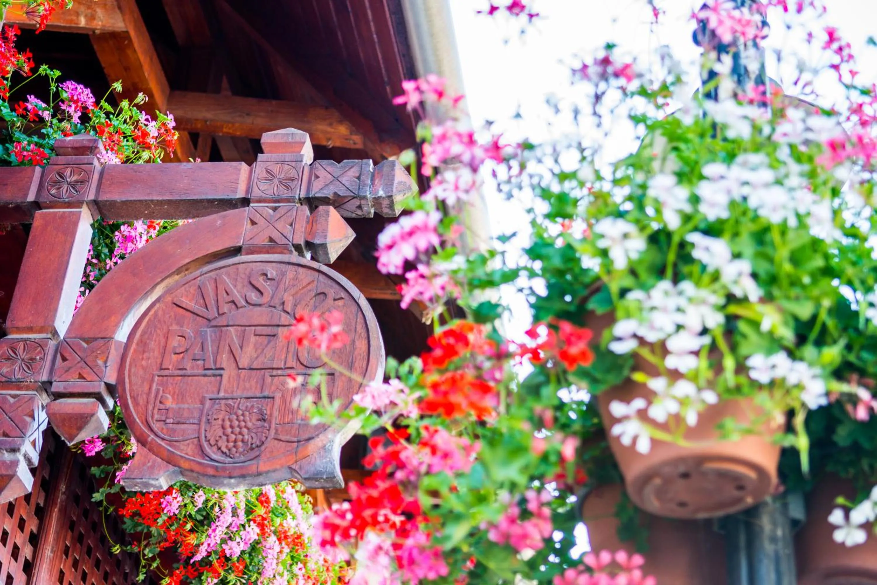 Property logo or sign in Vaskó Panzió Borpince