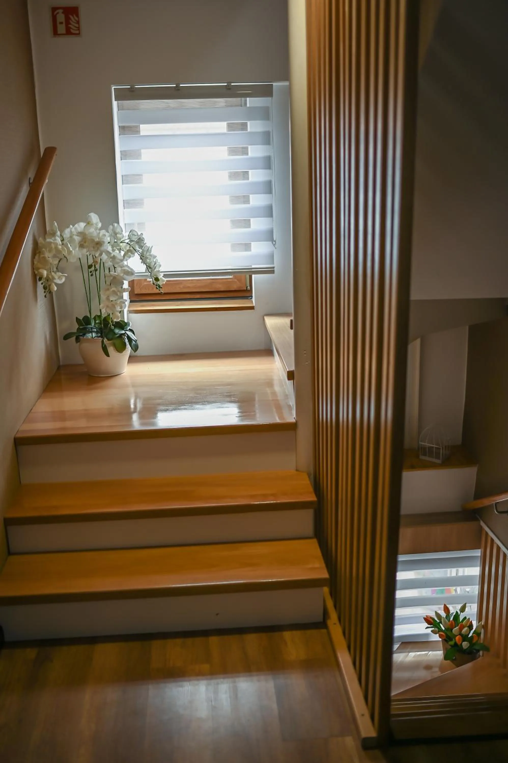 Property building in Vaskó Panzió Borpince