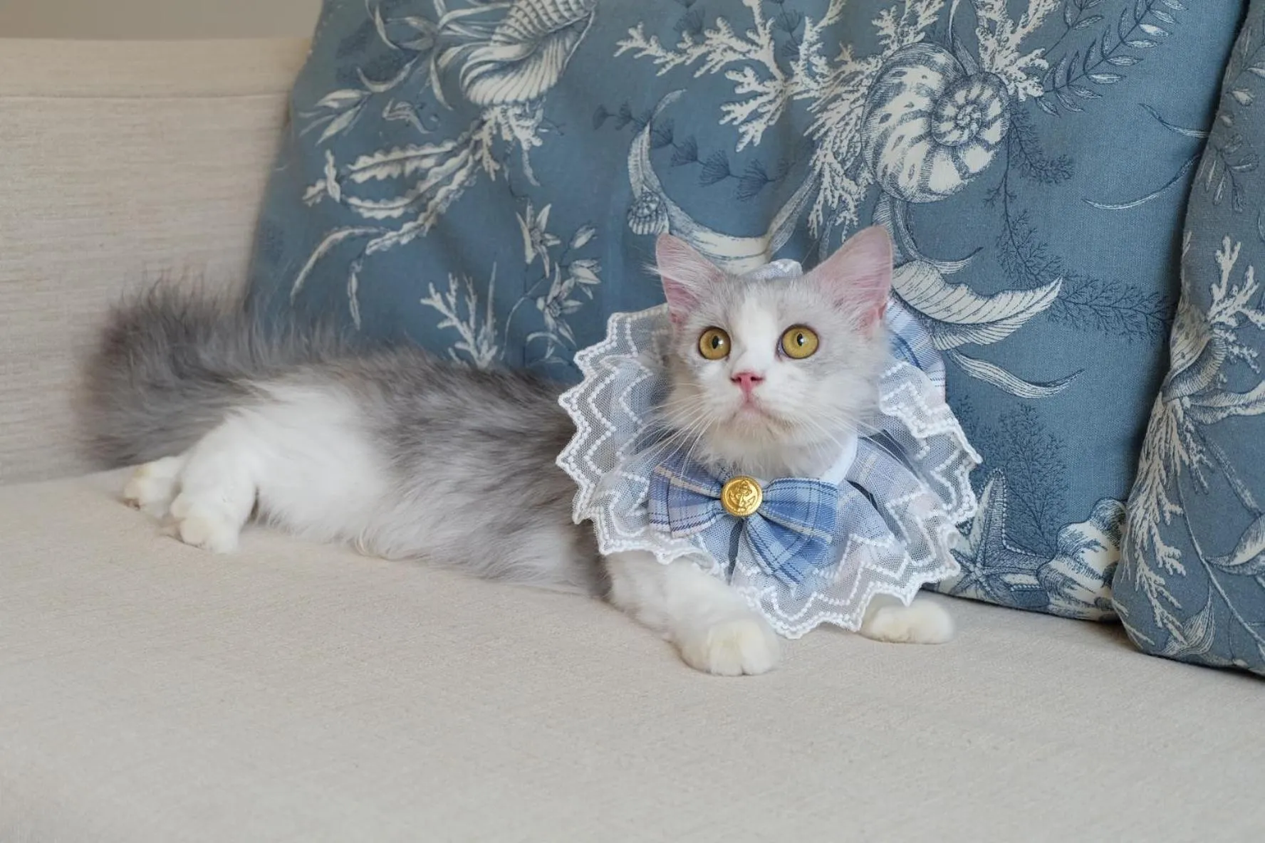 Pets in Blu Marine Hua Hin Resort and Villas