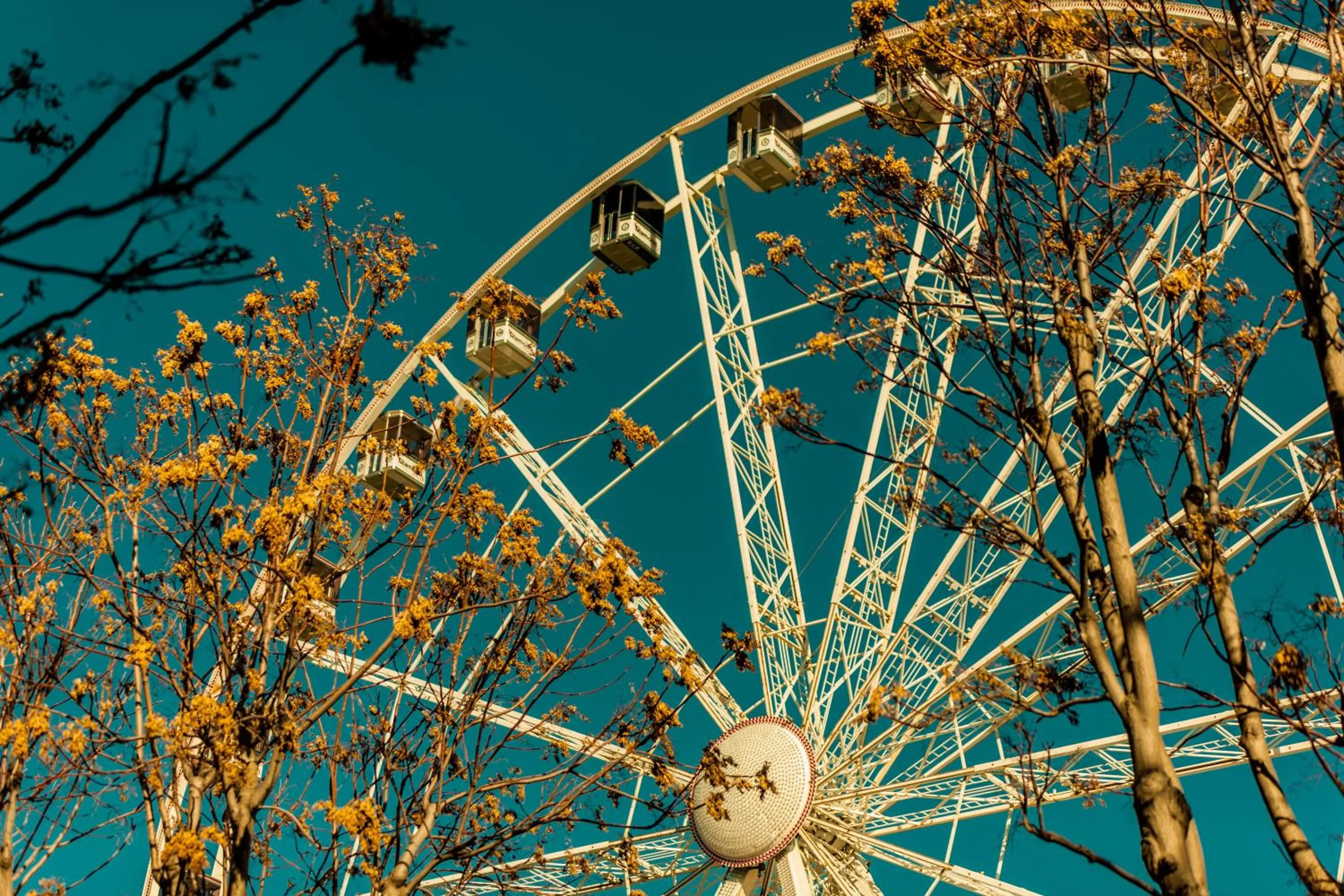 Activities in TRAVEL STATION Bedandbreakfast