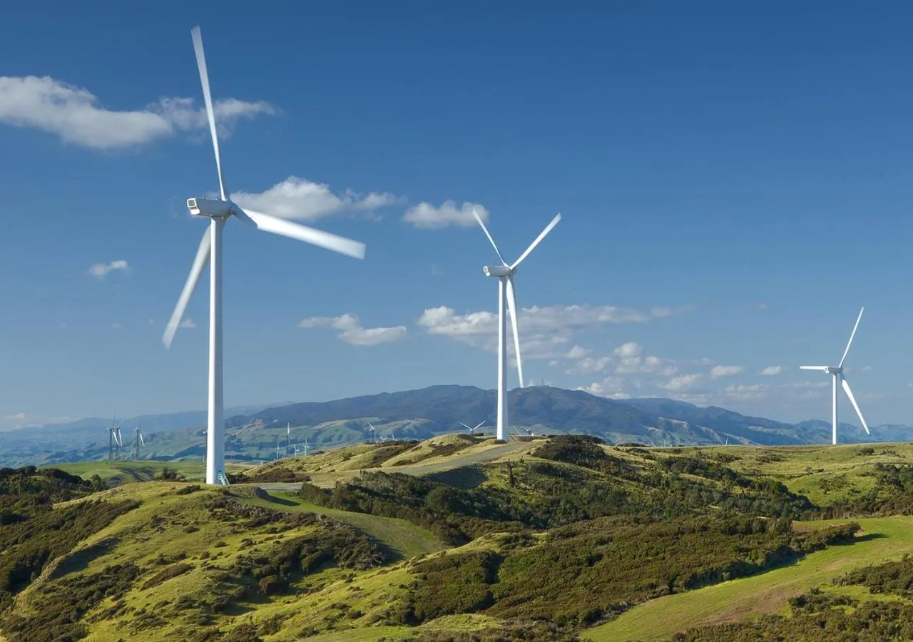 Natural landscape in New Central Hotel Woodville
