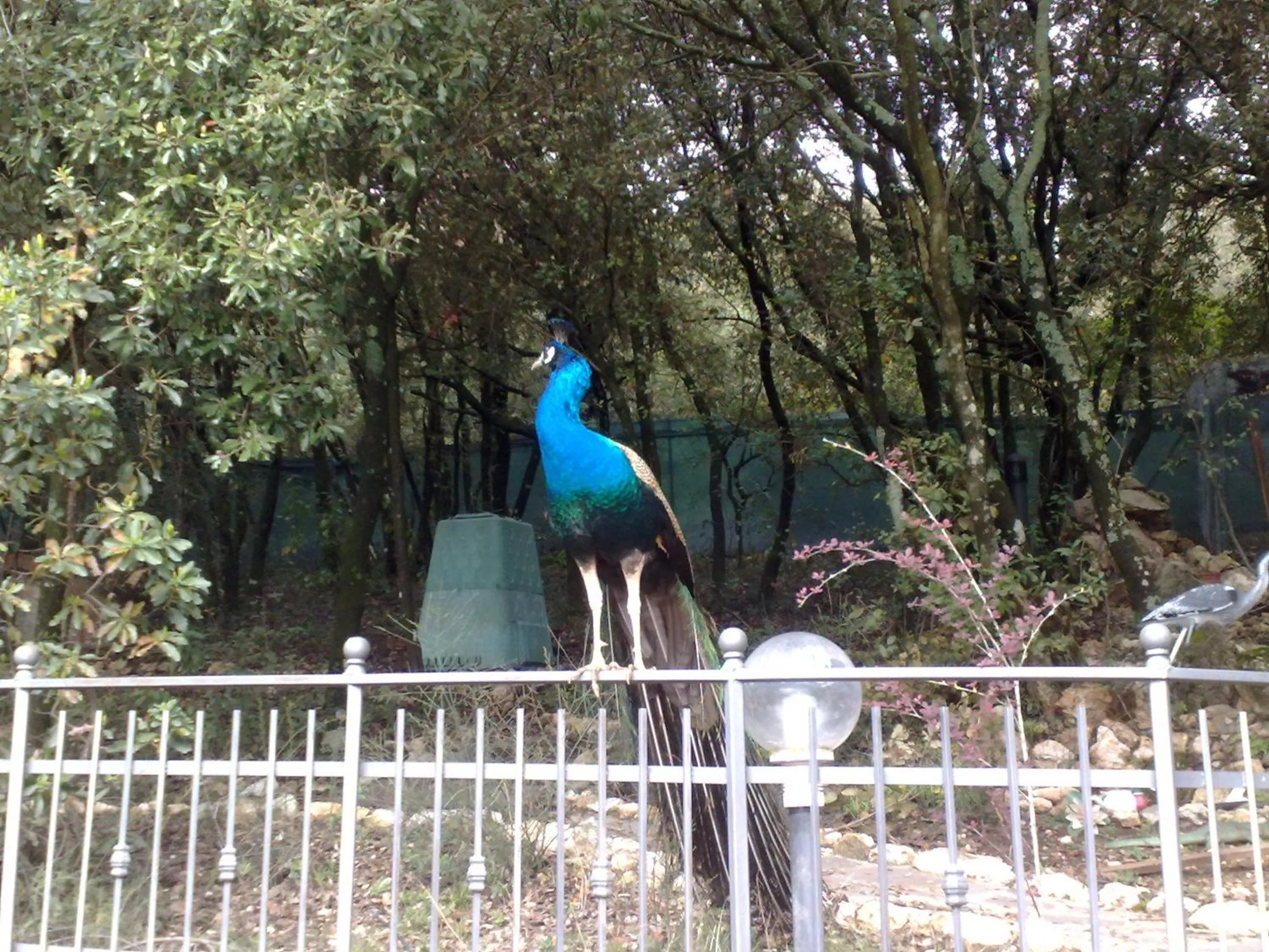 Garden in B&B Spring