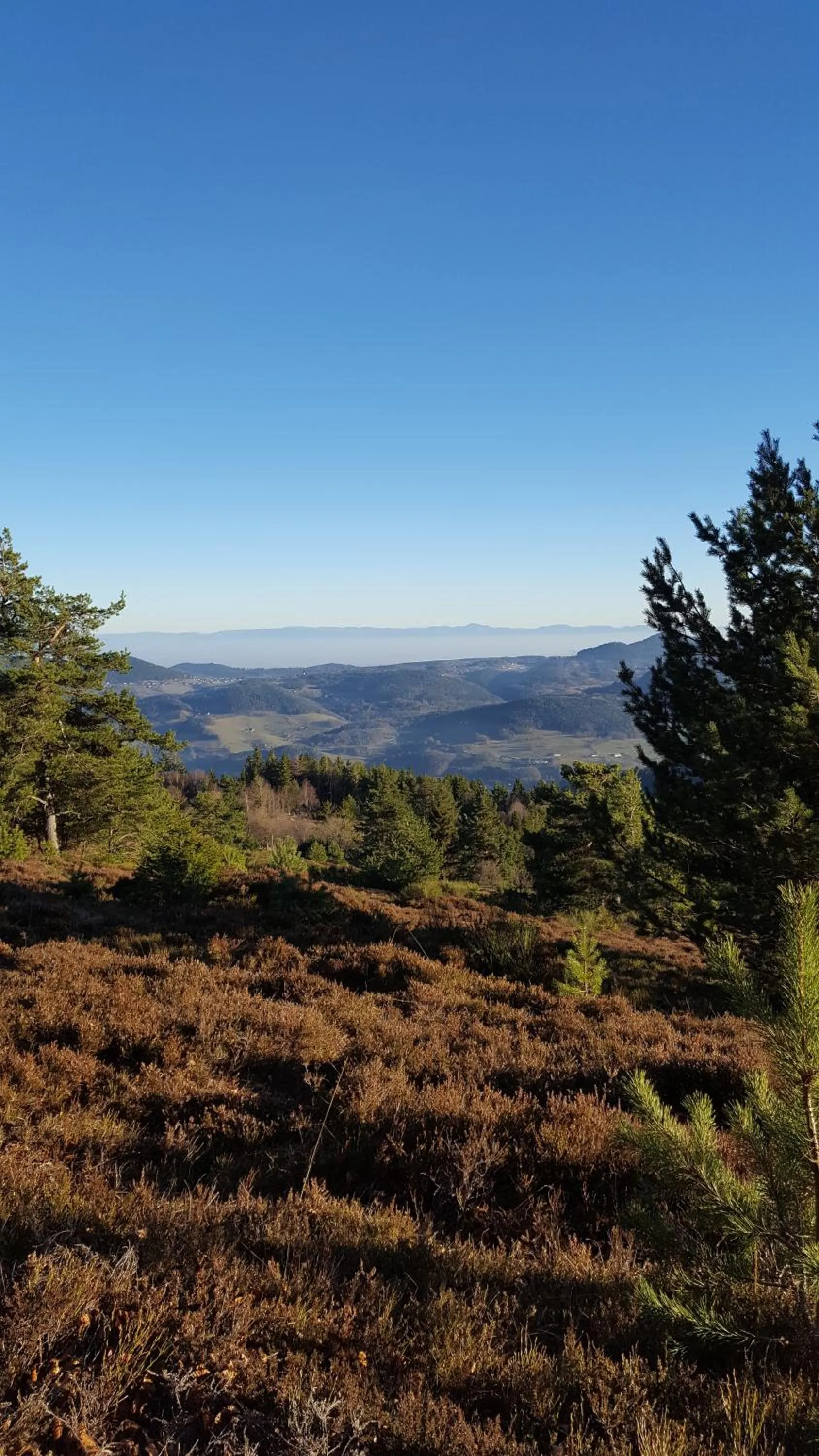 Mountain view in Le Bouton d'Or