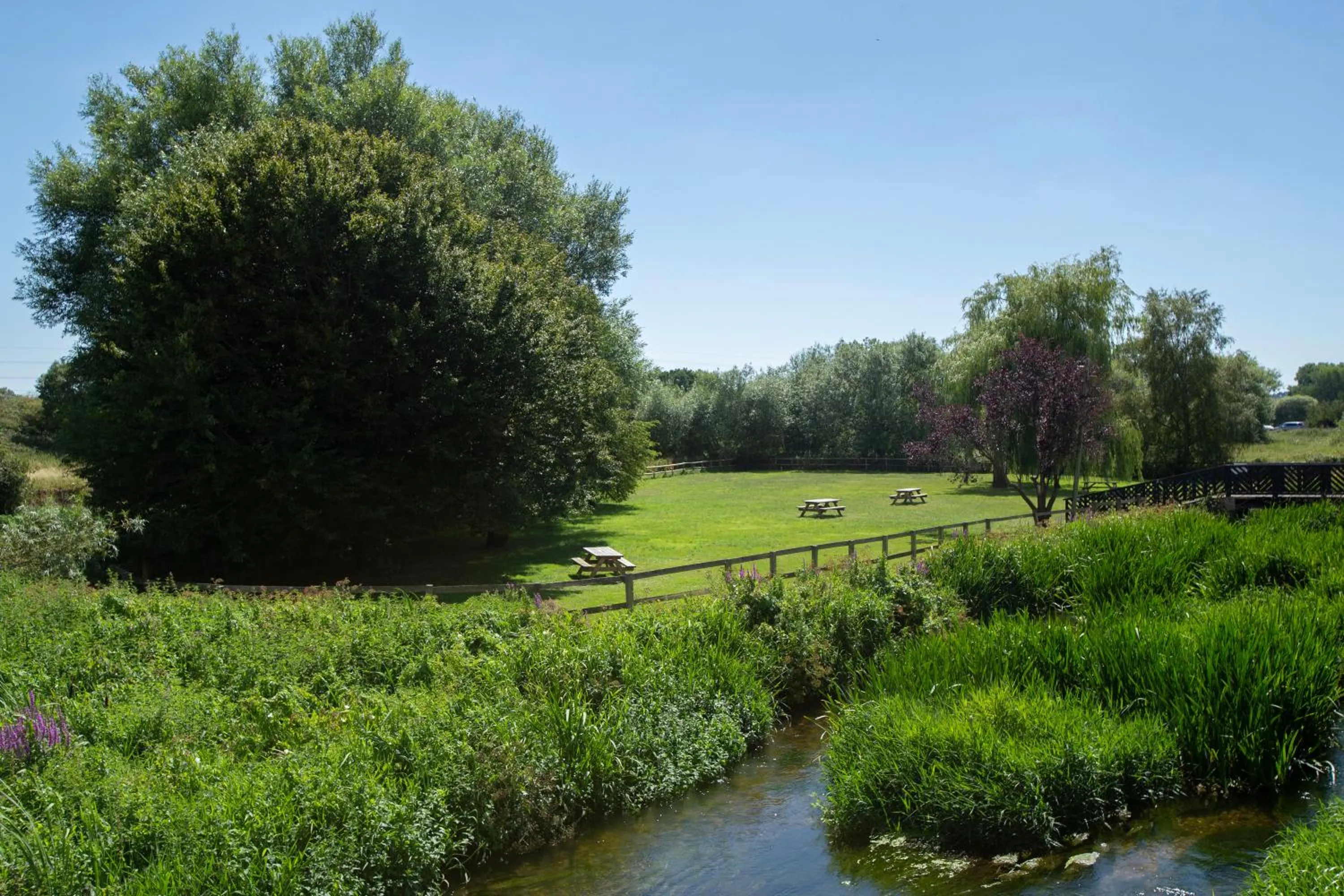 Garden in The Bridge House; BW Signature Collection