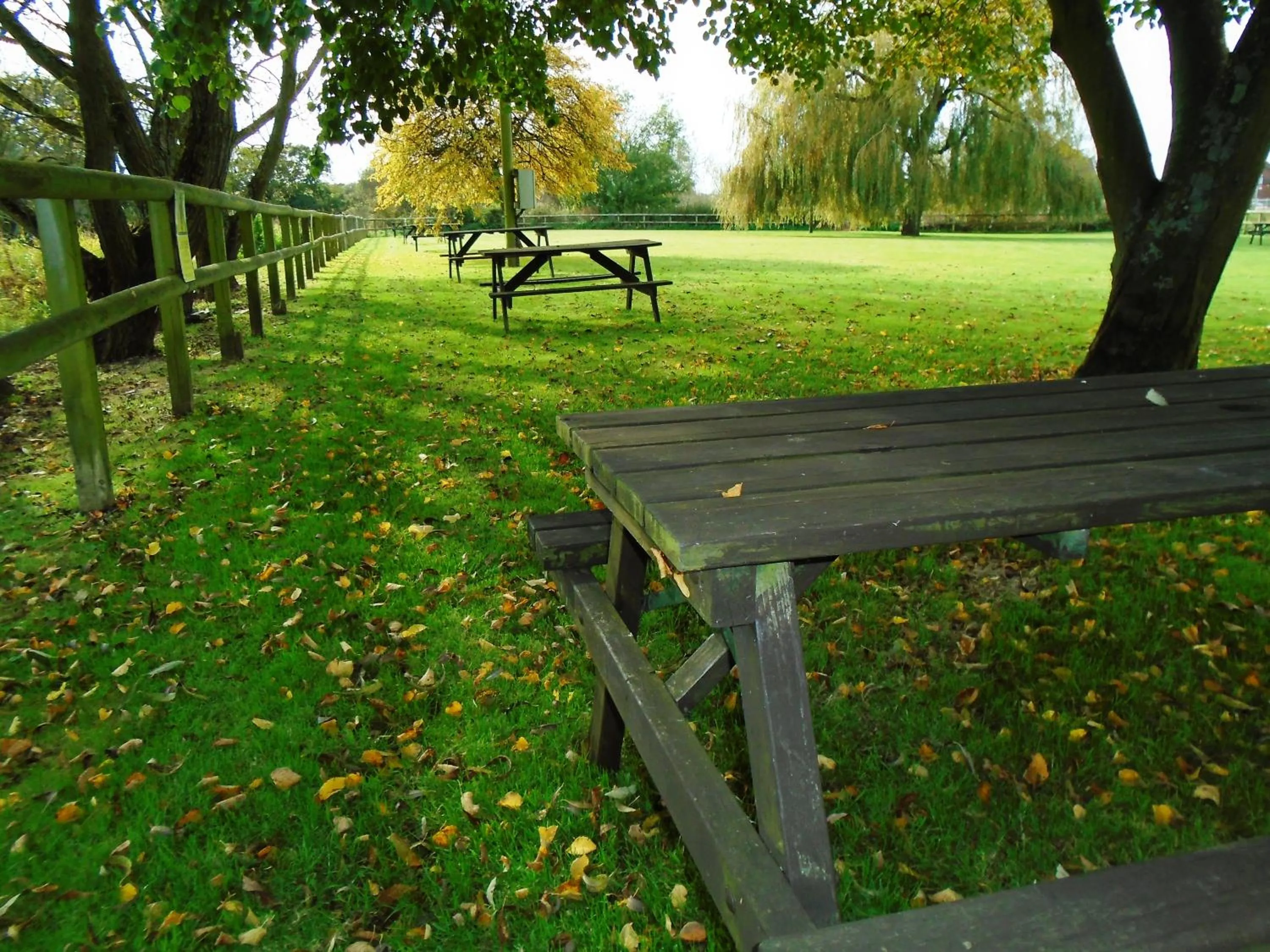Garden in The Bridge House; BW Signature Collection
