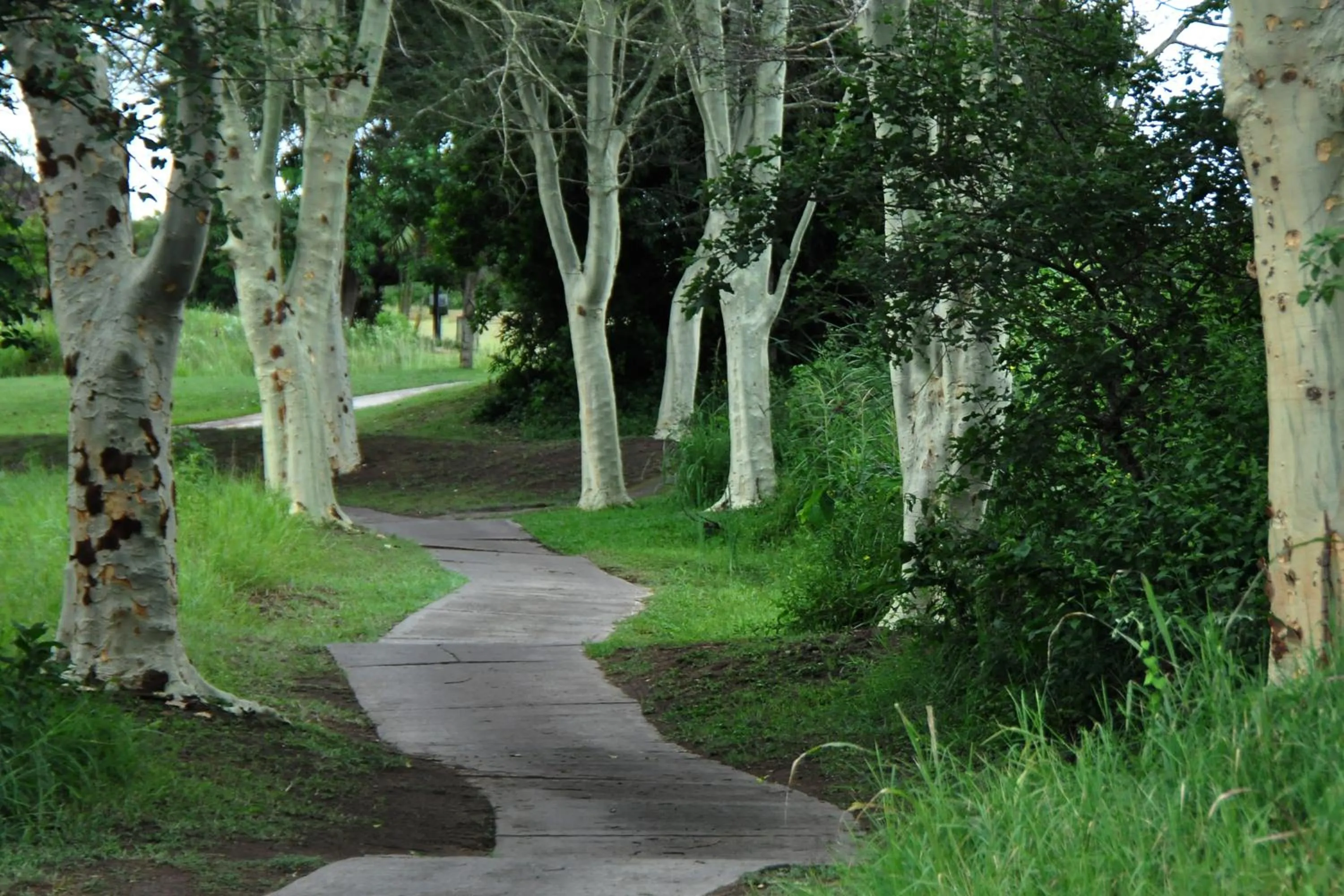 Natural landscape in Kruger Park Lodge Unit No. 612