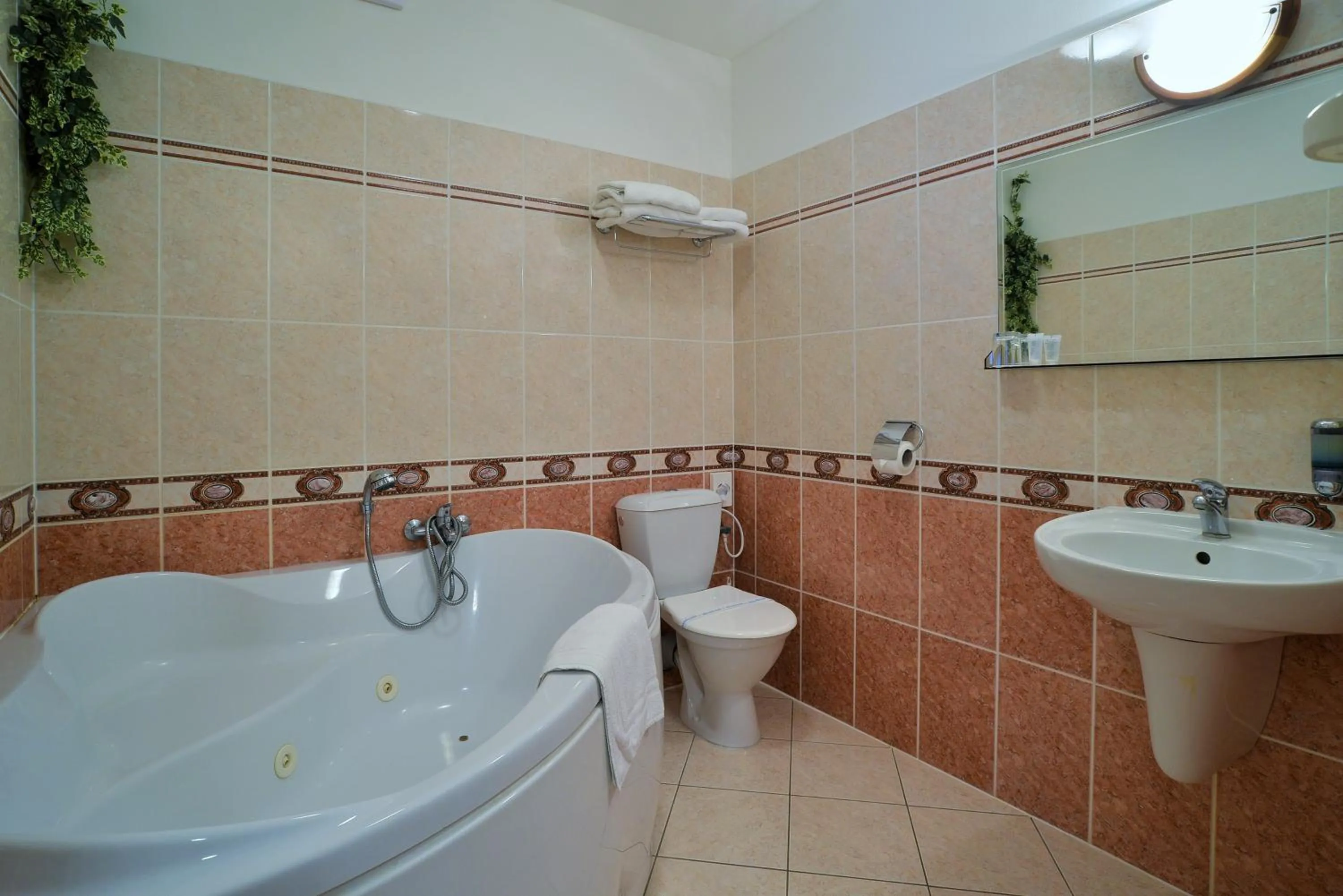 Bathroom in Hotelový resort Šikland