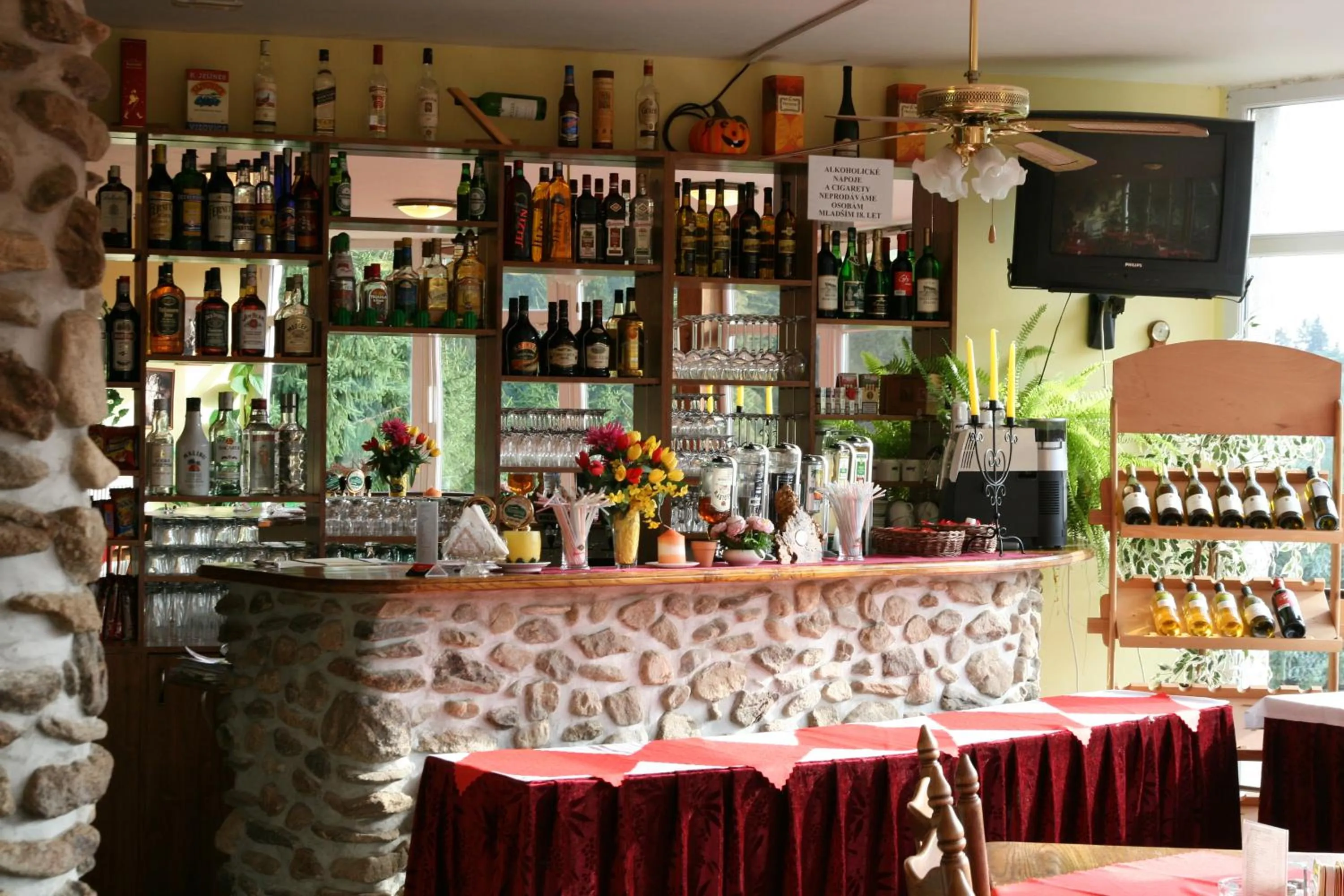 Lounge or bar in Hotelový resort Šikland