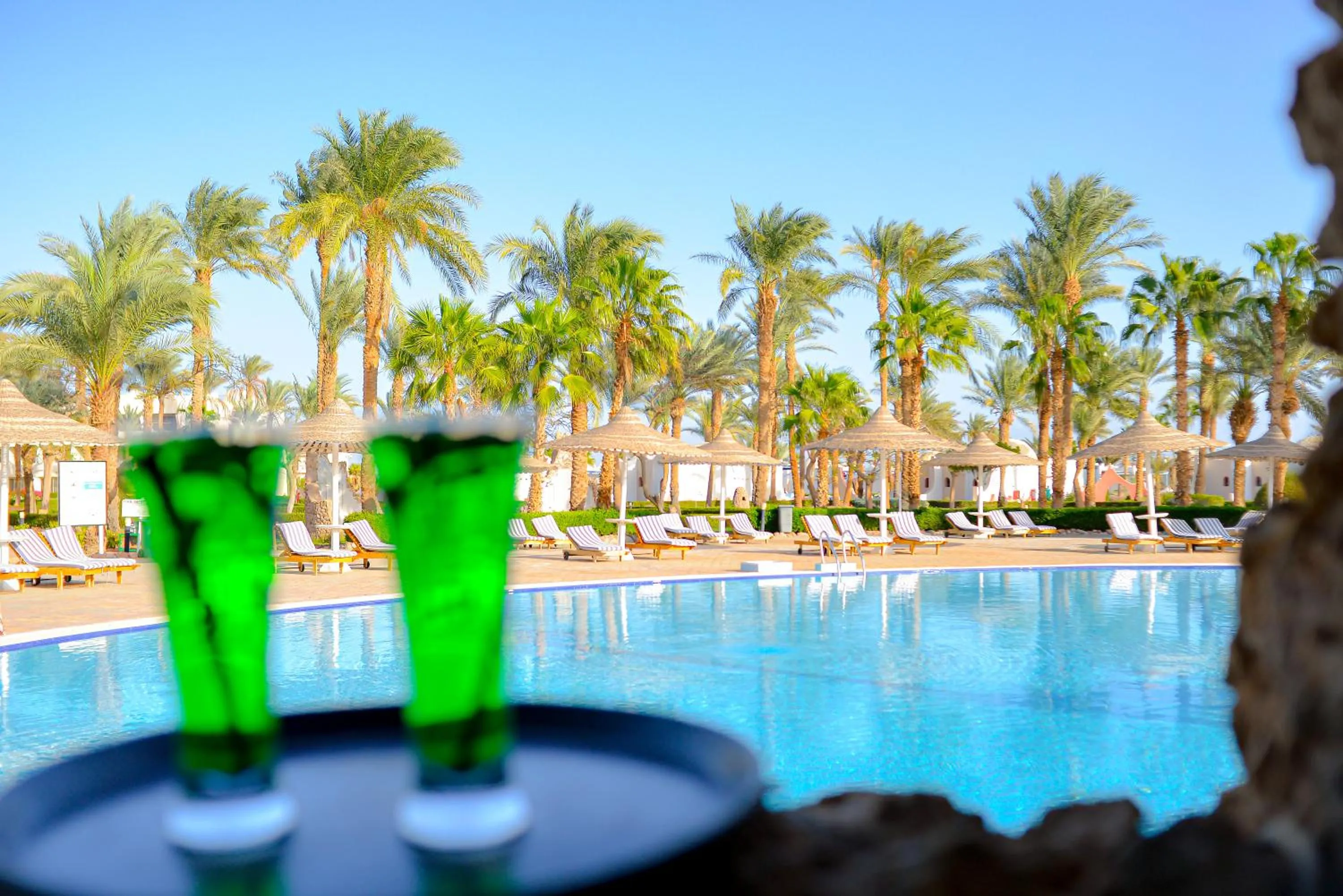 Lounge or bar in TIME Coral Nuweiba Resort