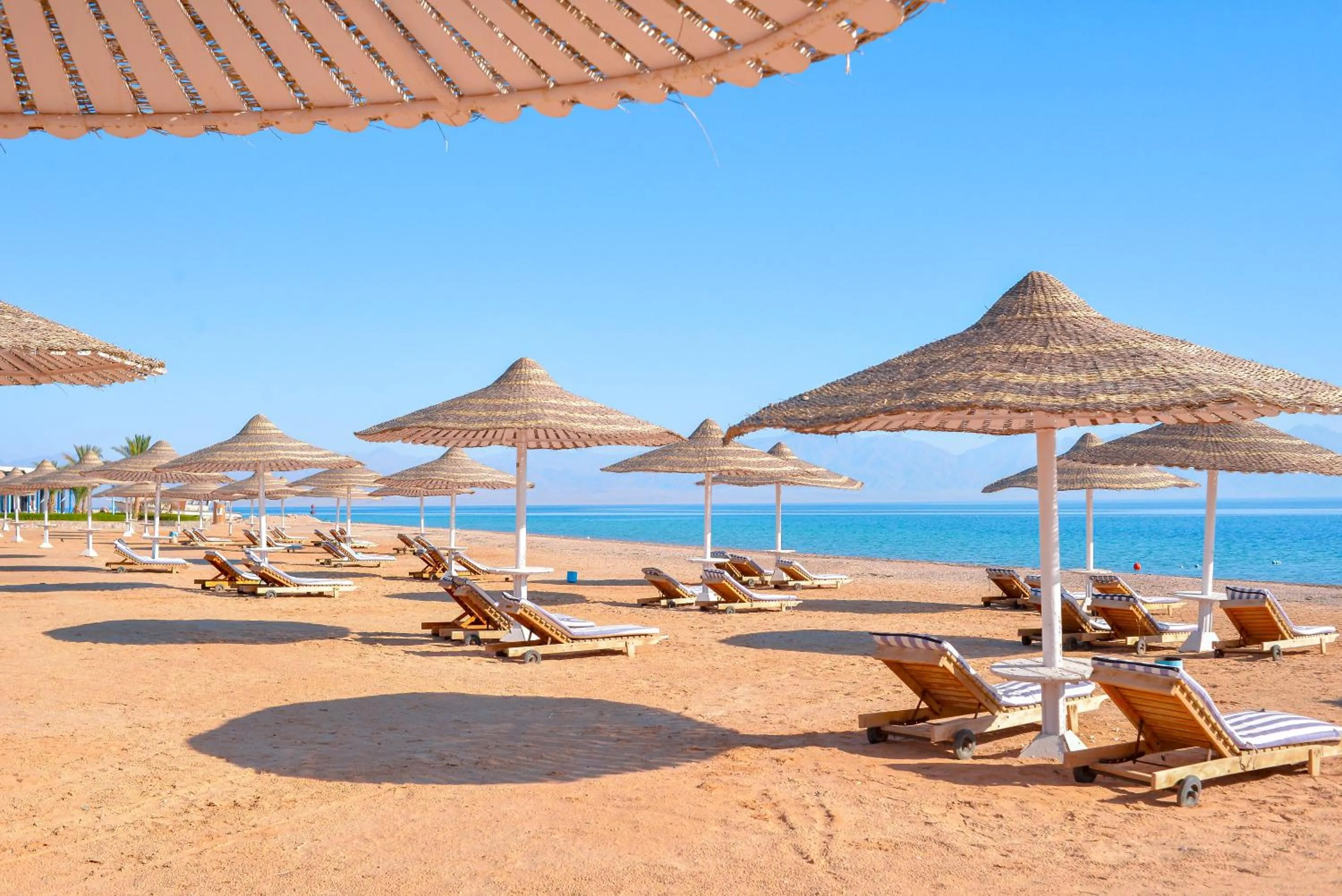 Beach in TIME Coral Nuweiba Resort