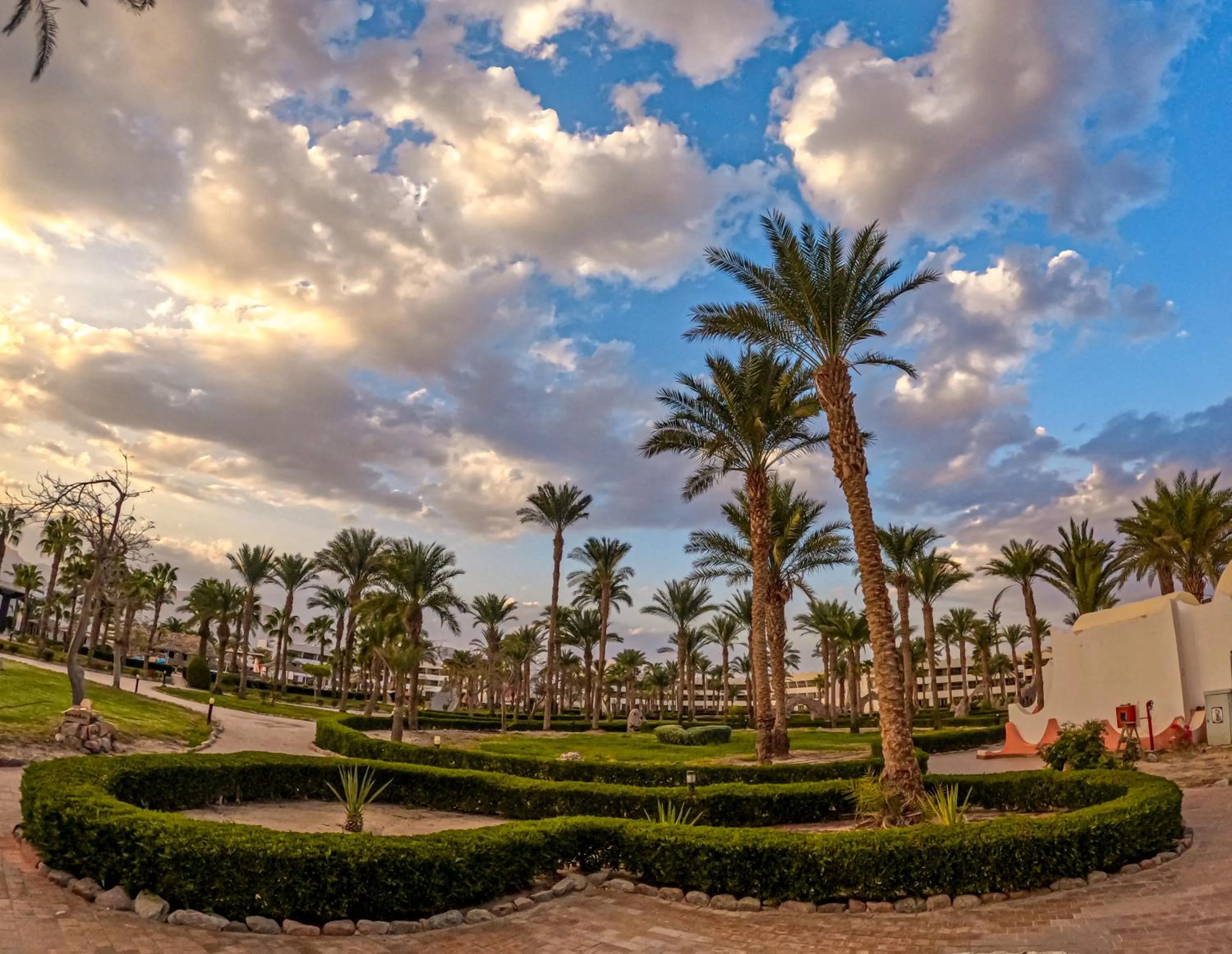 Garden view in TIME Coral Nuweiba Resort
