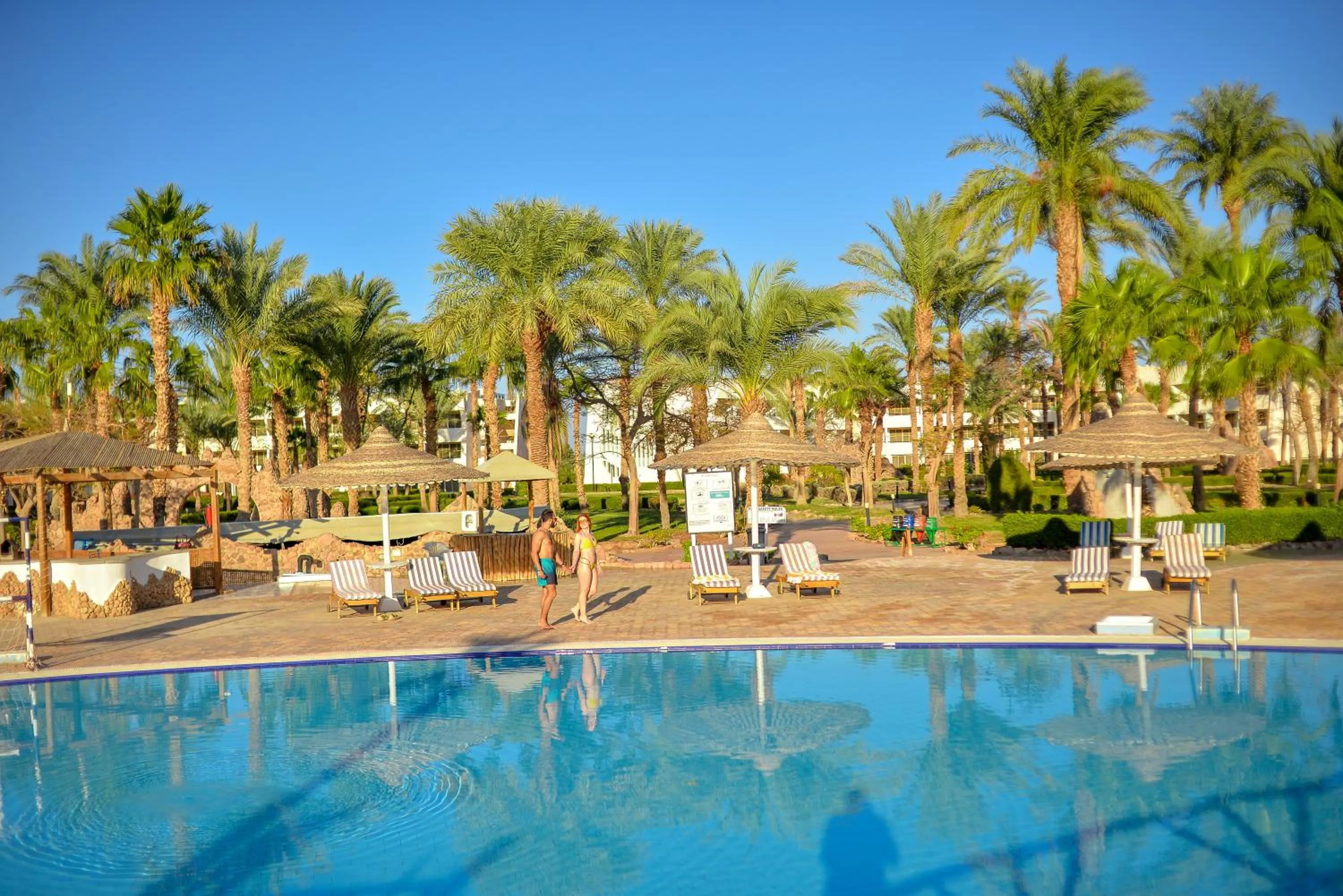 Swimming pool in TIME Coral Nuweiba Resort