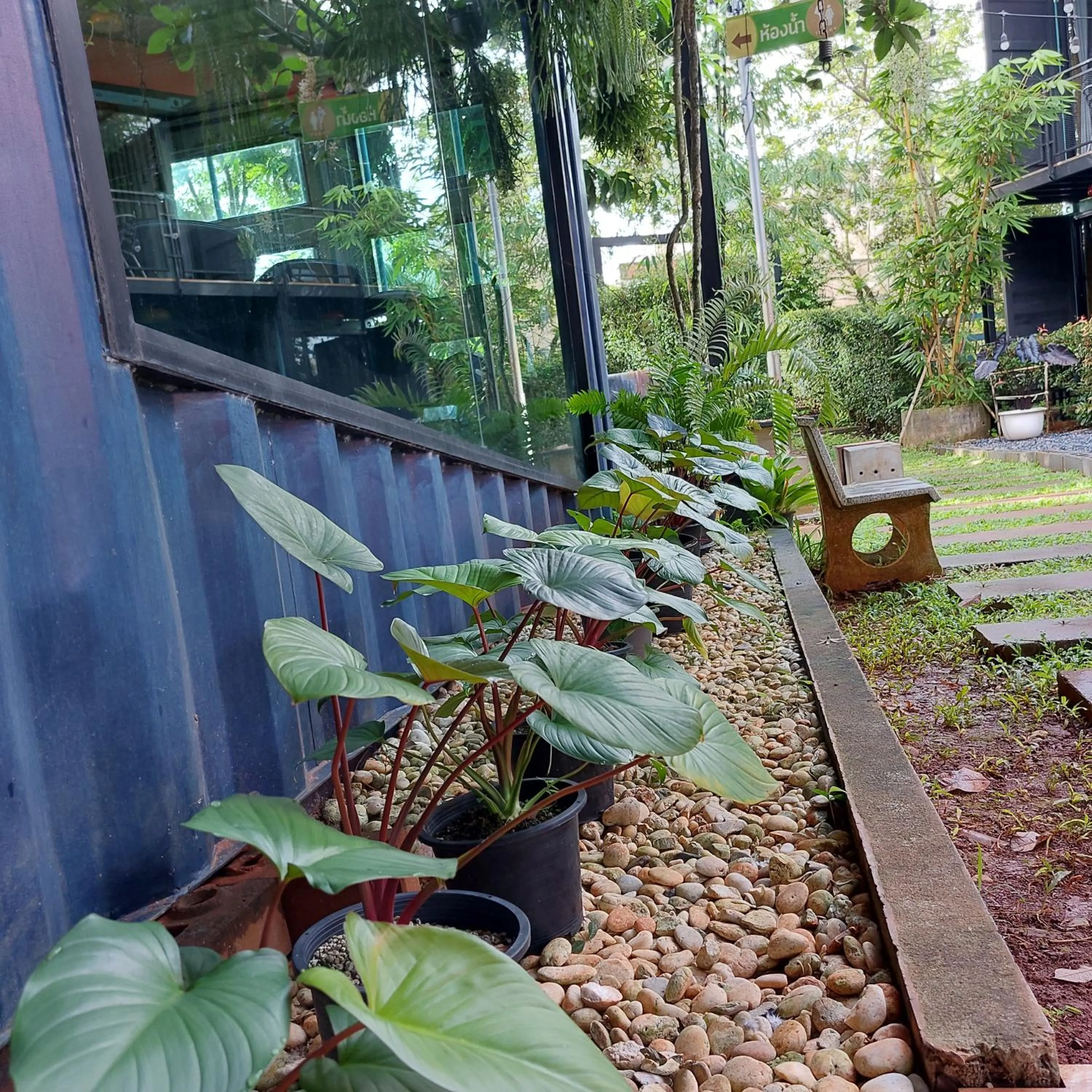 Patio in Kipbox Hotel Trang