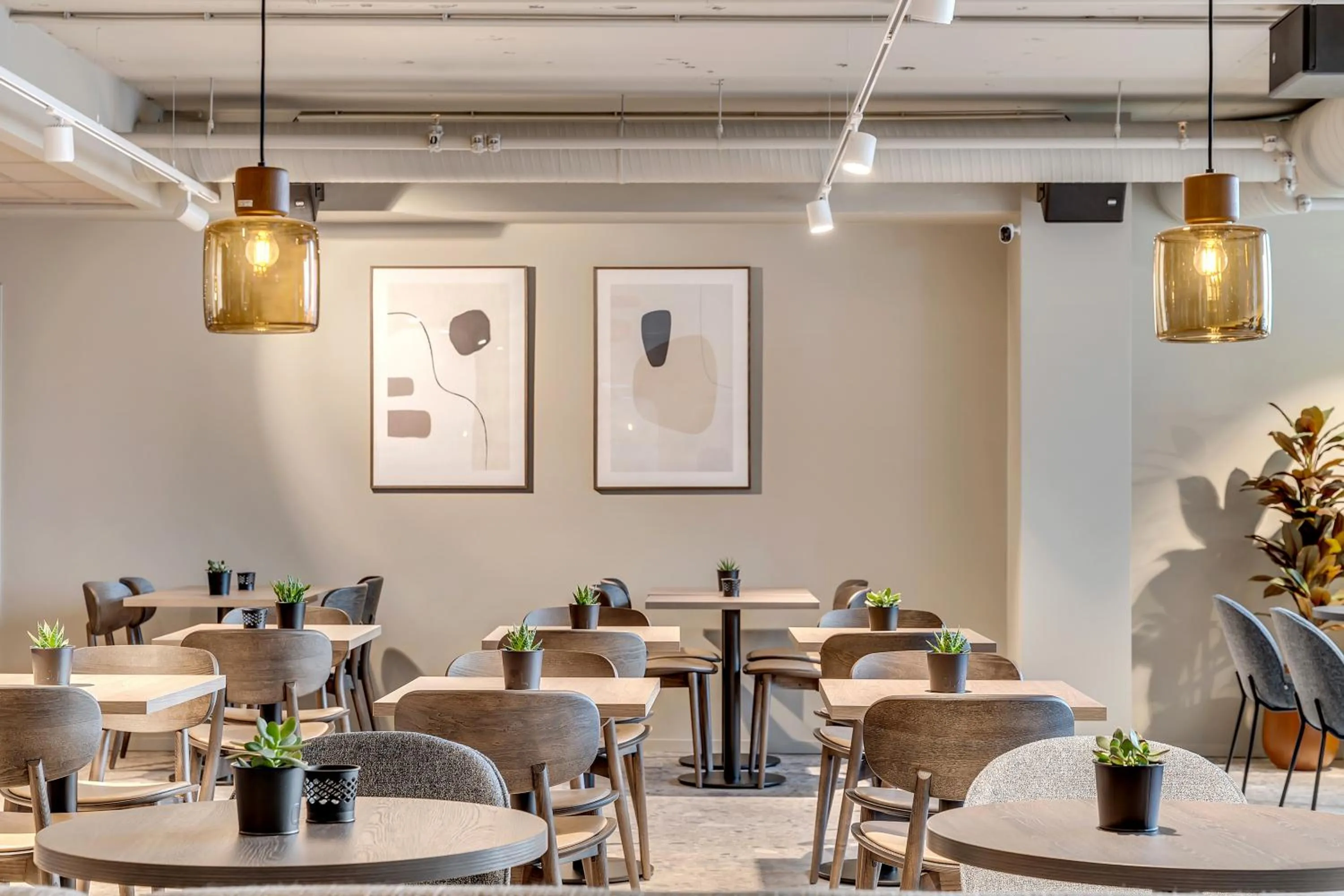 Restaurant/places to eat in Frichs Hotel Hamar