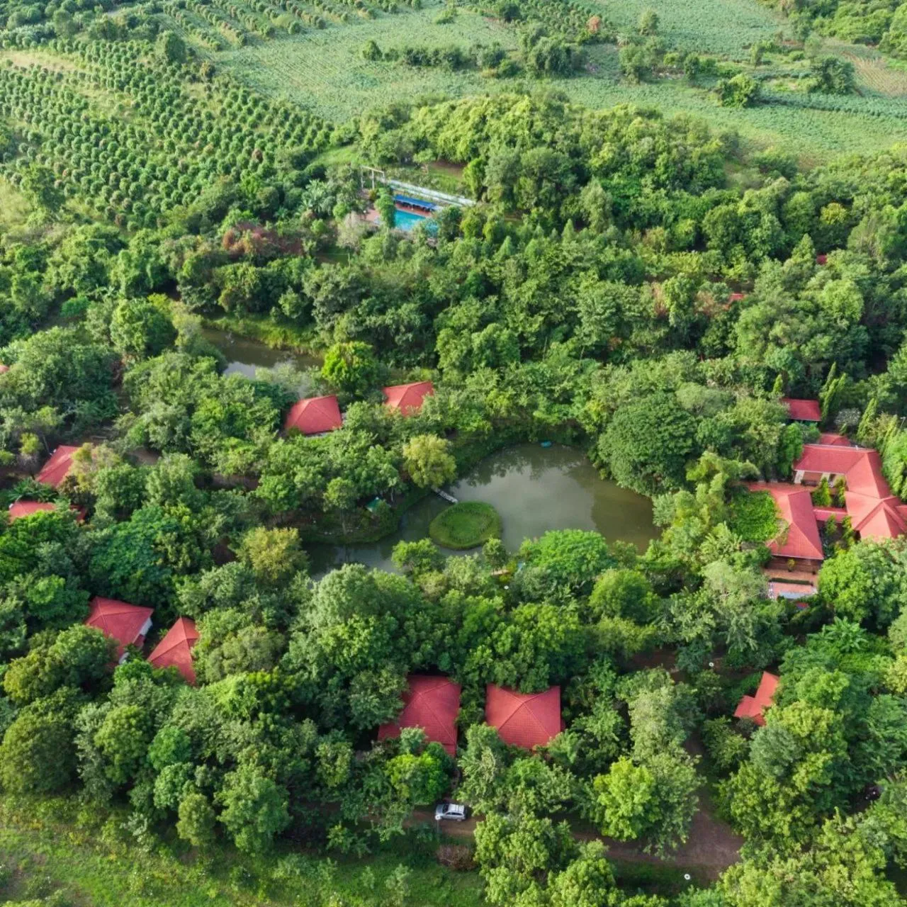 Natural landscape in Memoria Palace & Resort