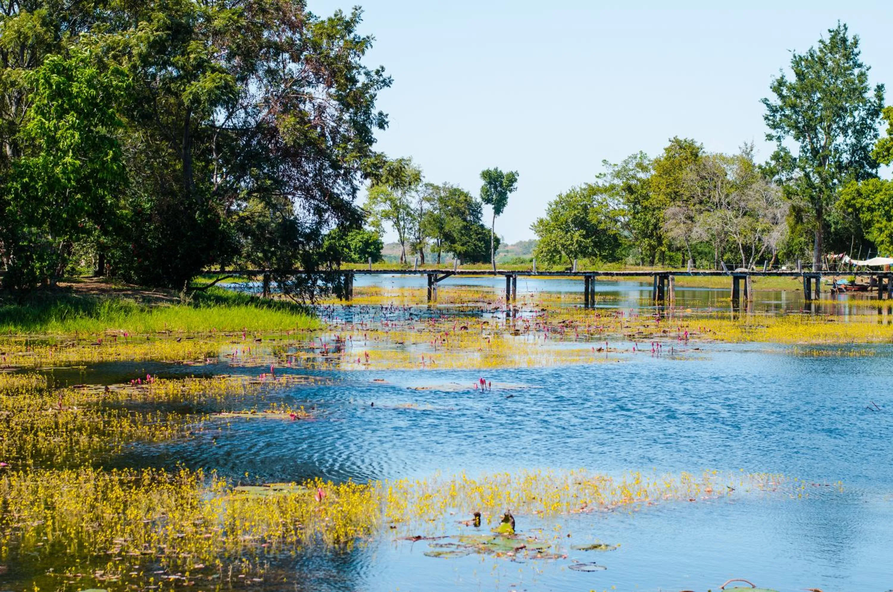 Natural landscape in Memoria Palace & Resort