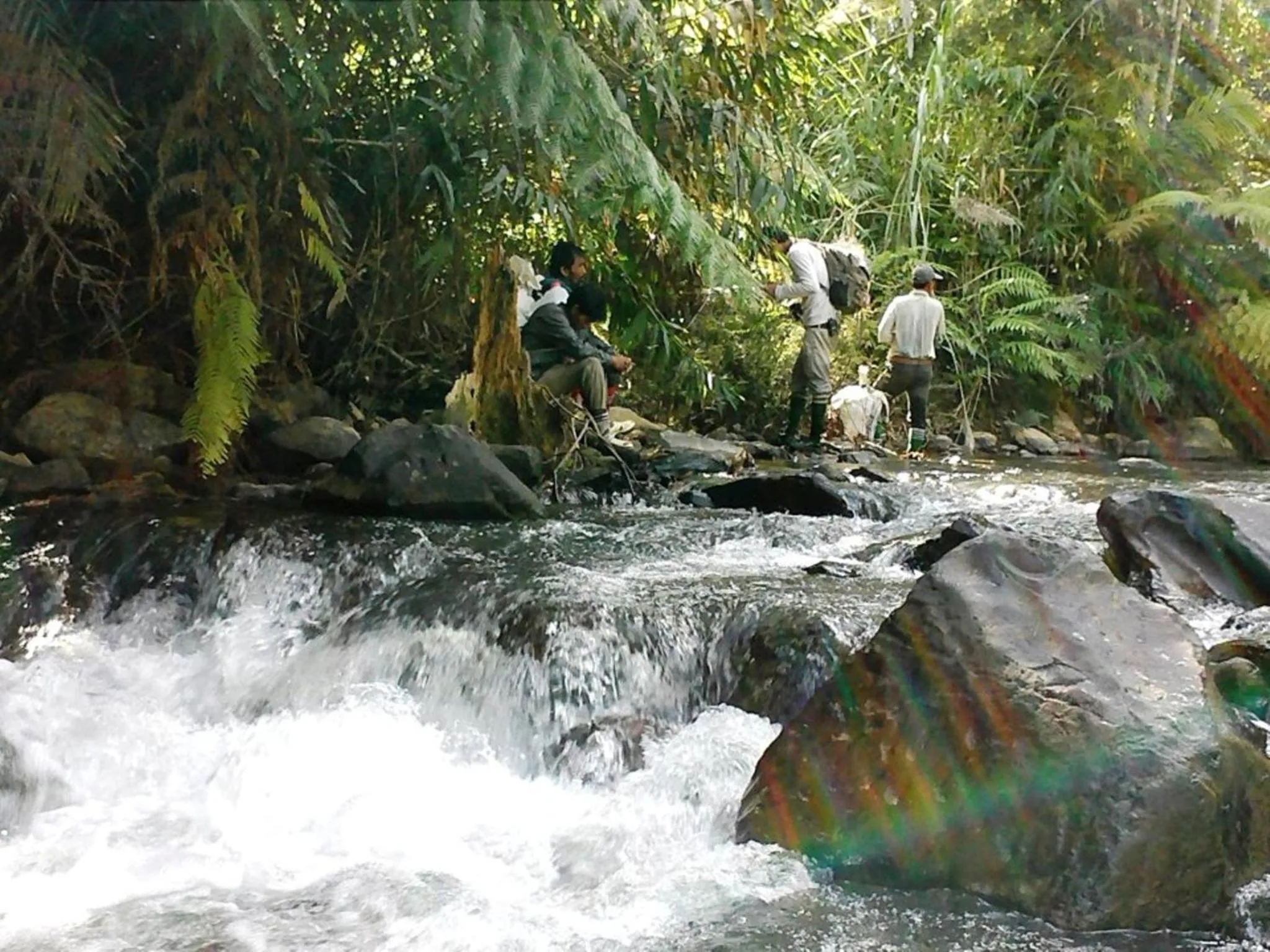 Natural landscape in Memoria Palace & Resort