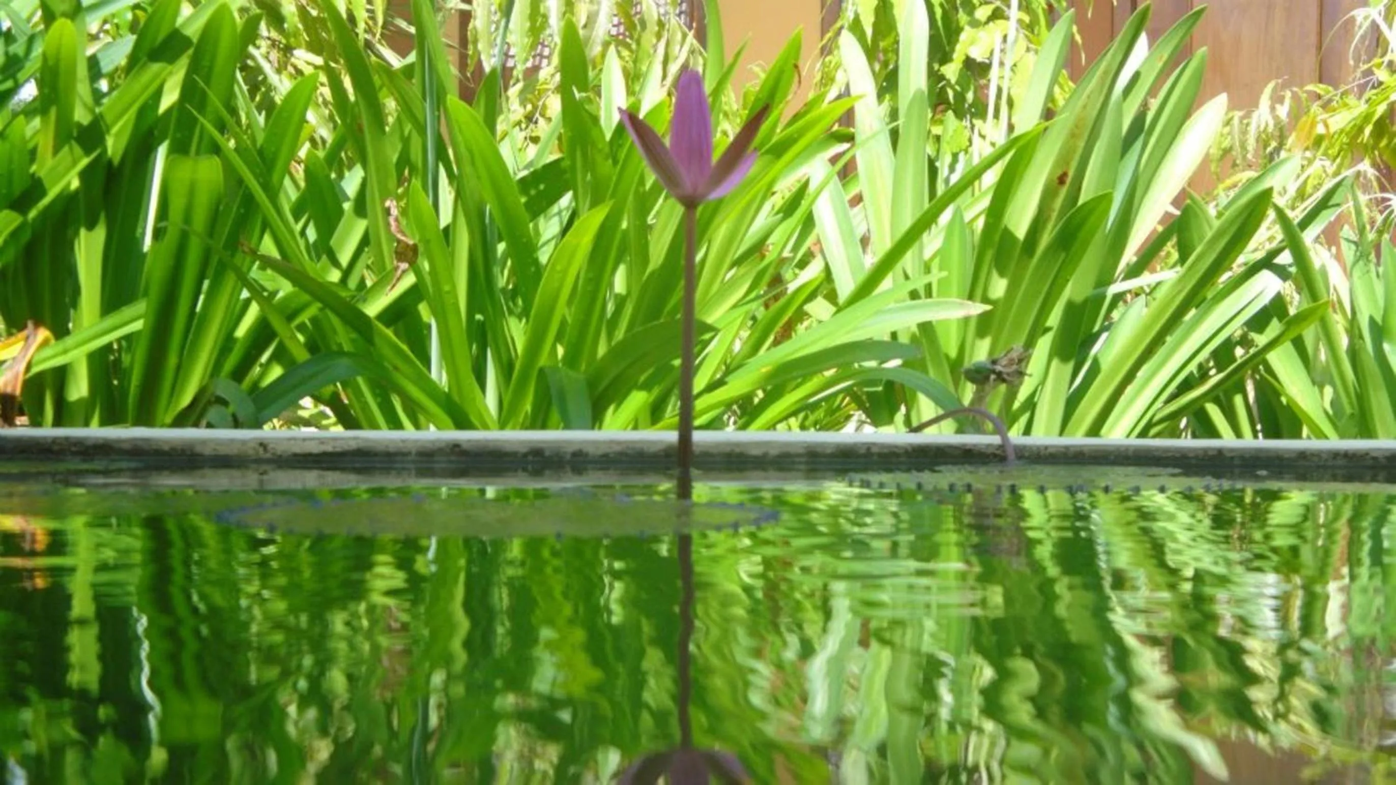 Garden in Memoria Palace & Resort