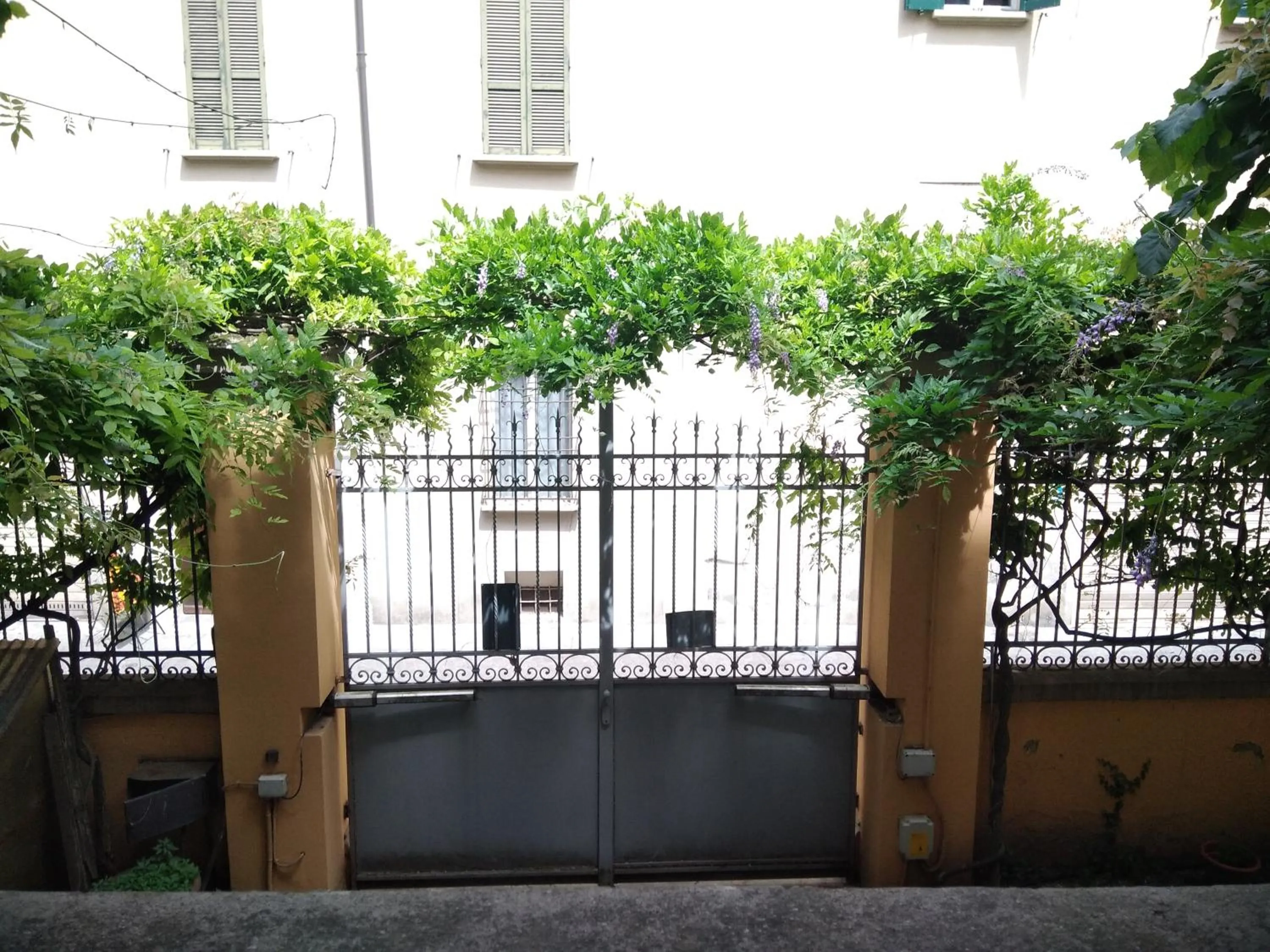 View (from property/room) in Tilia